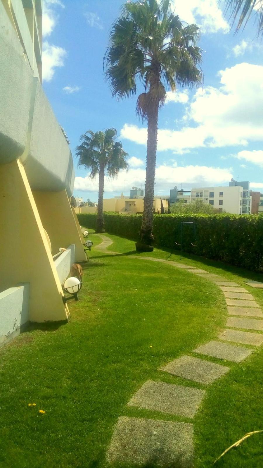 Cardeira view 5