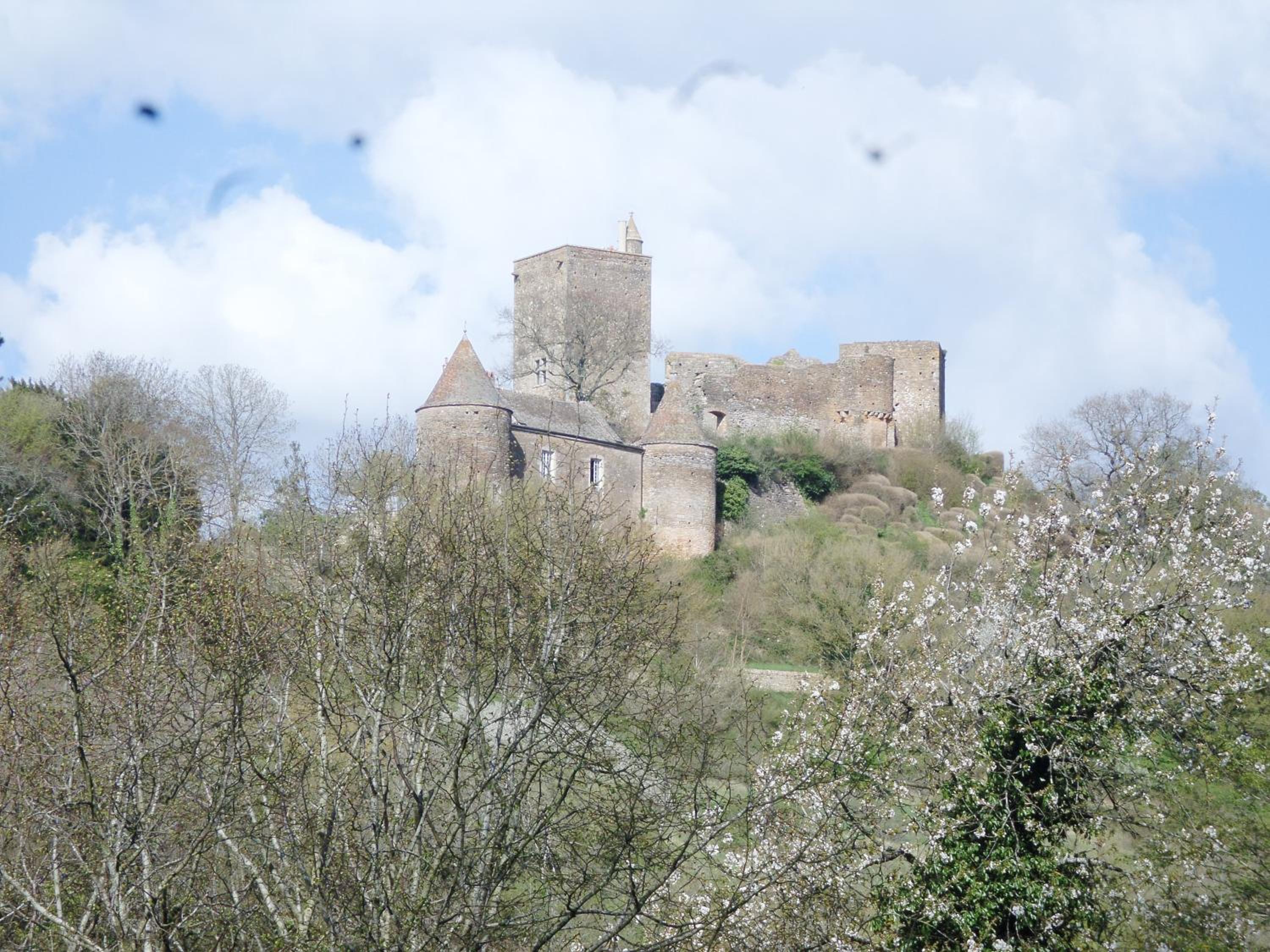 Photo 17