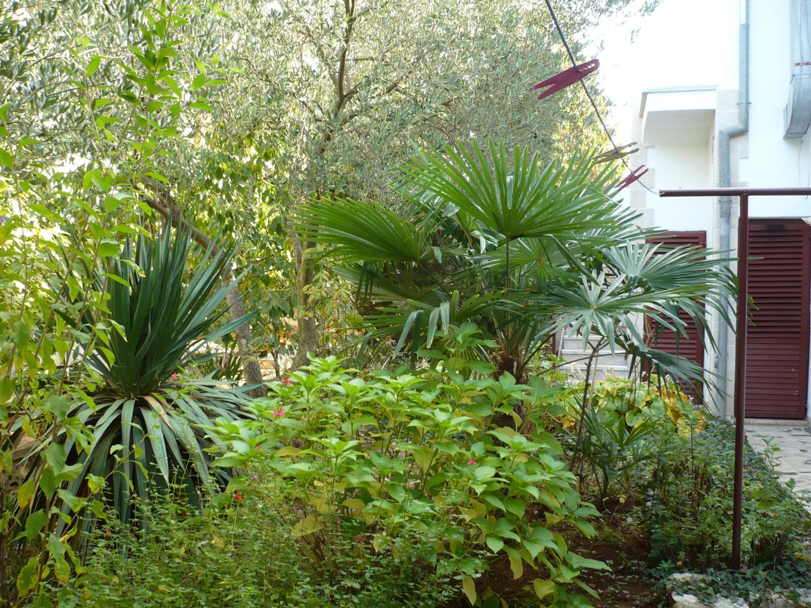 Photo 31
