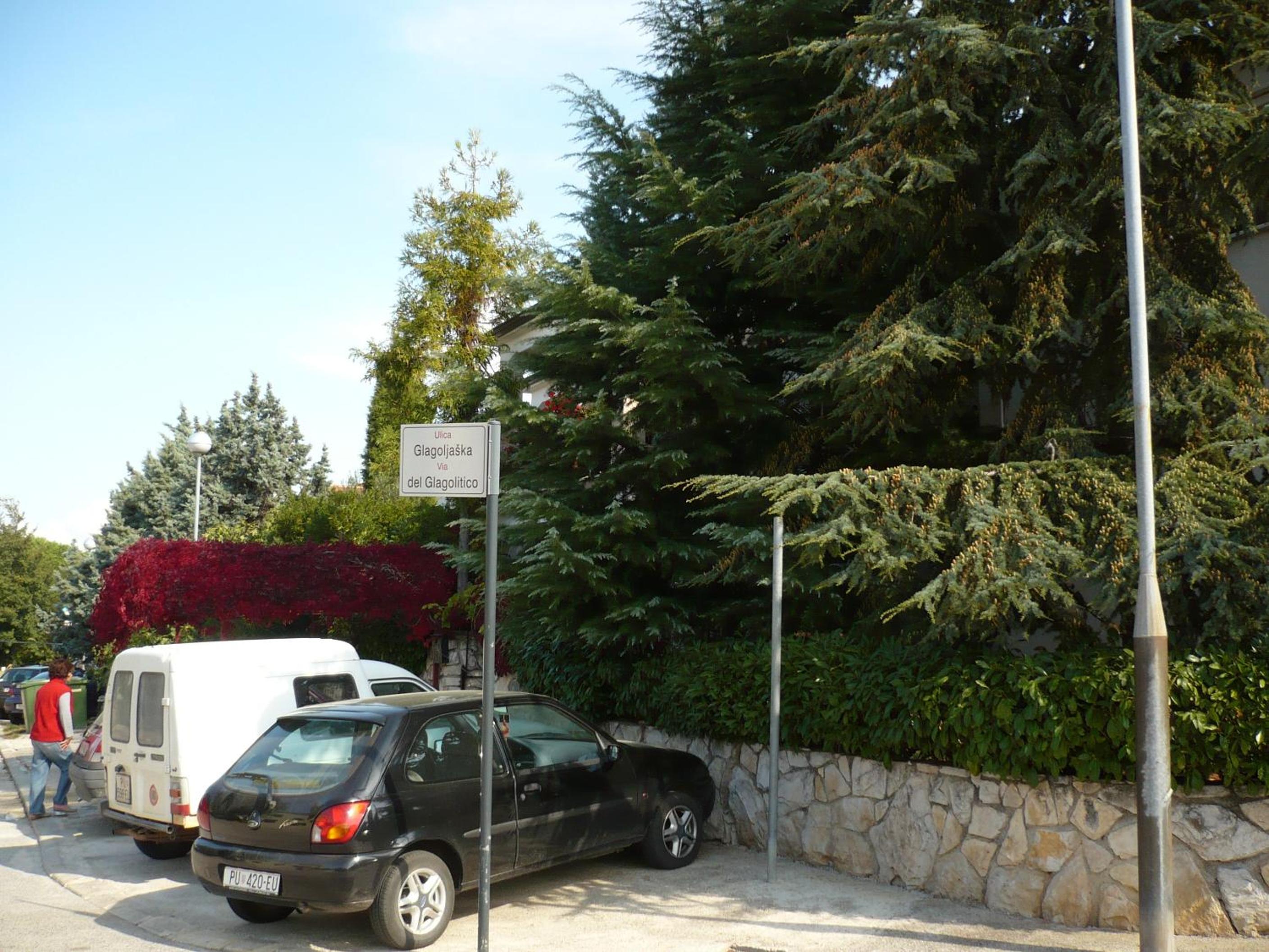 Photo 29