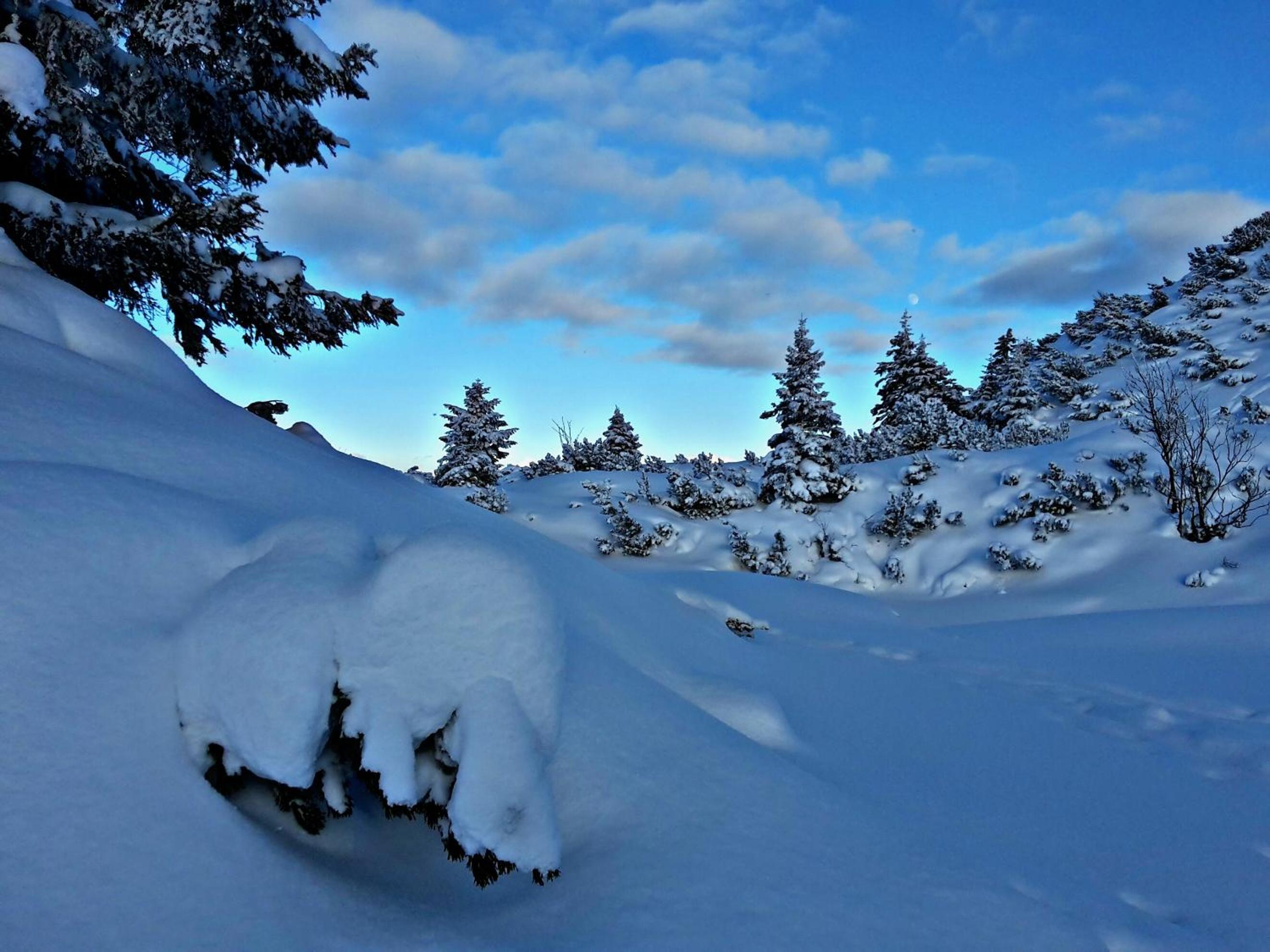 Ferienwohnungen ARIKOGEL Bad Goisern