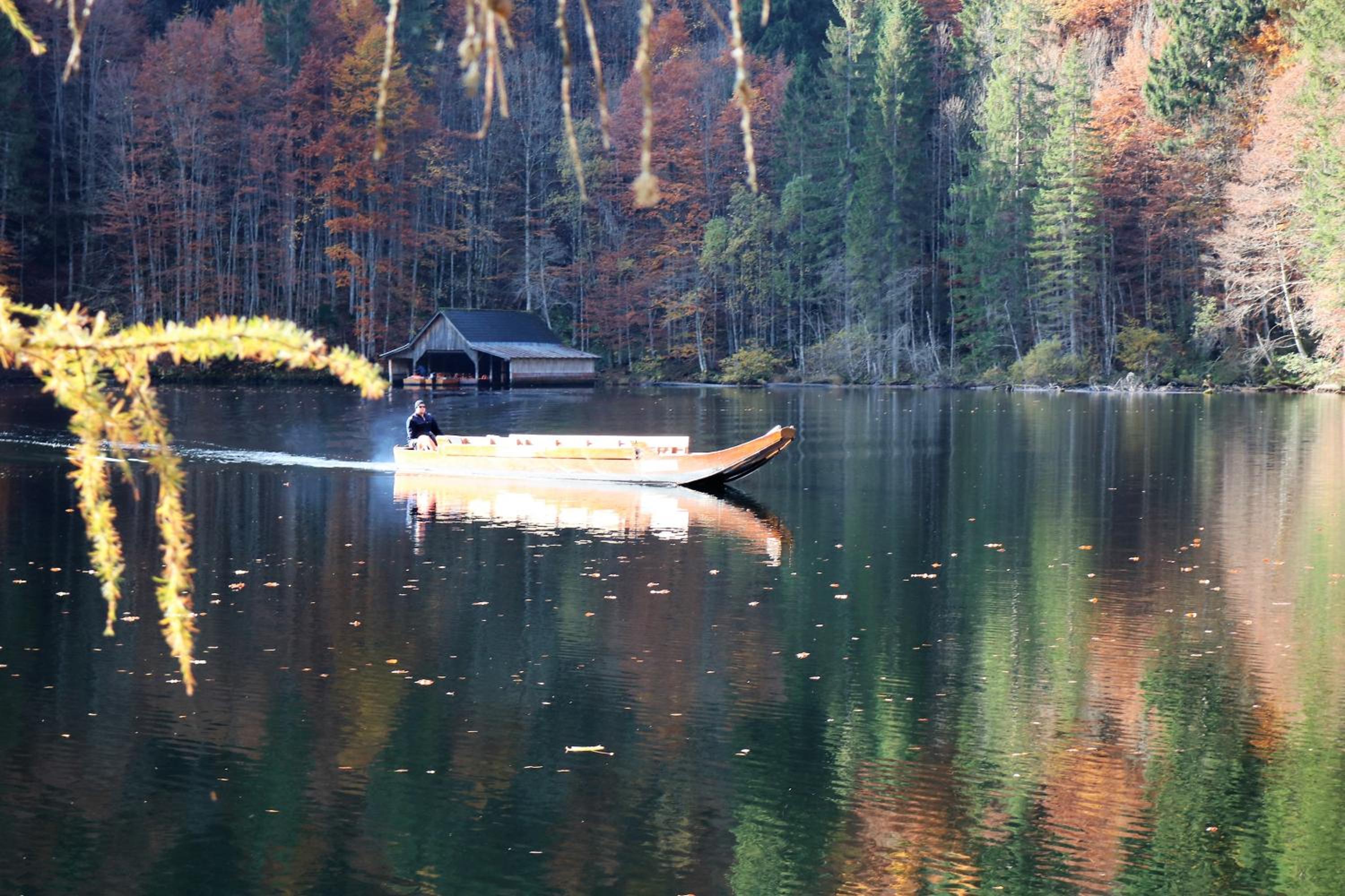 Ferienwohnungen ARIKOGEL Bad Goisern