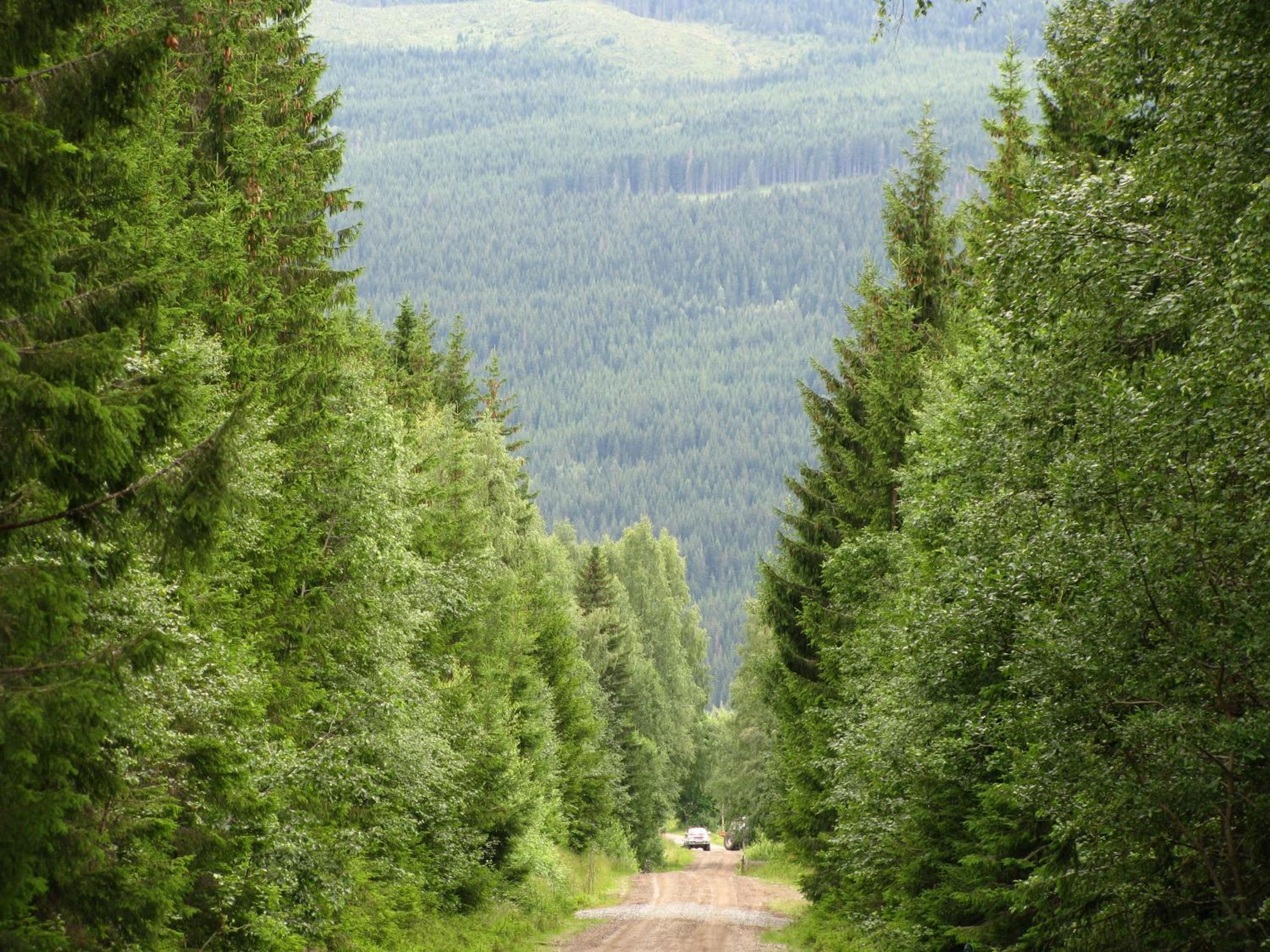 Photo 18