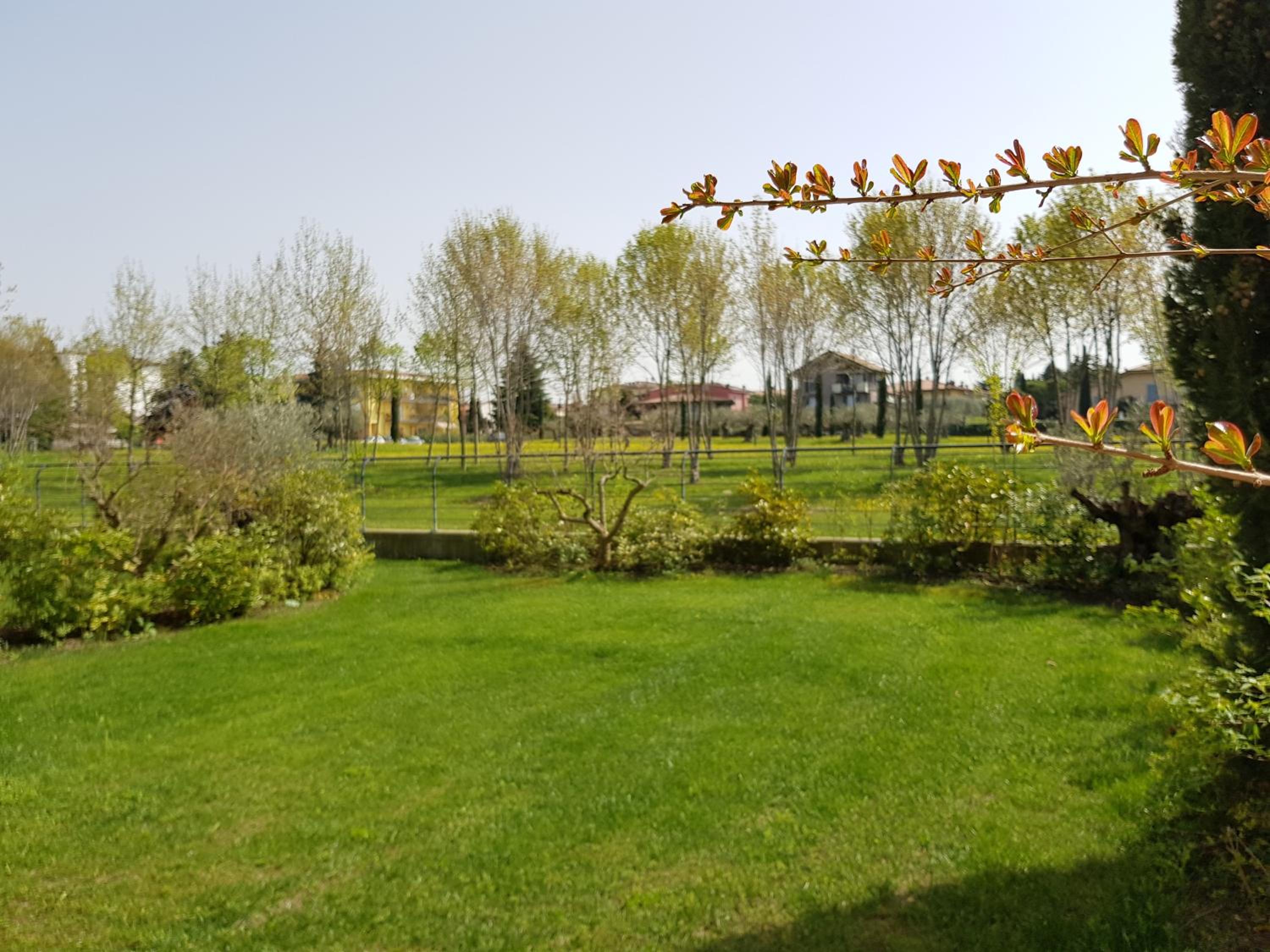 Photo 30