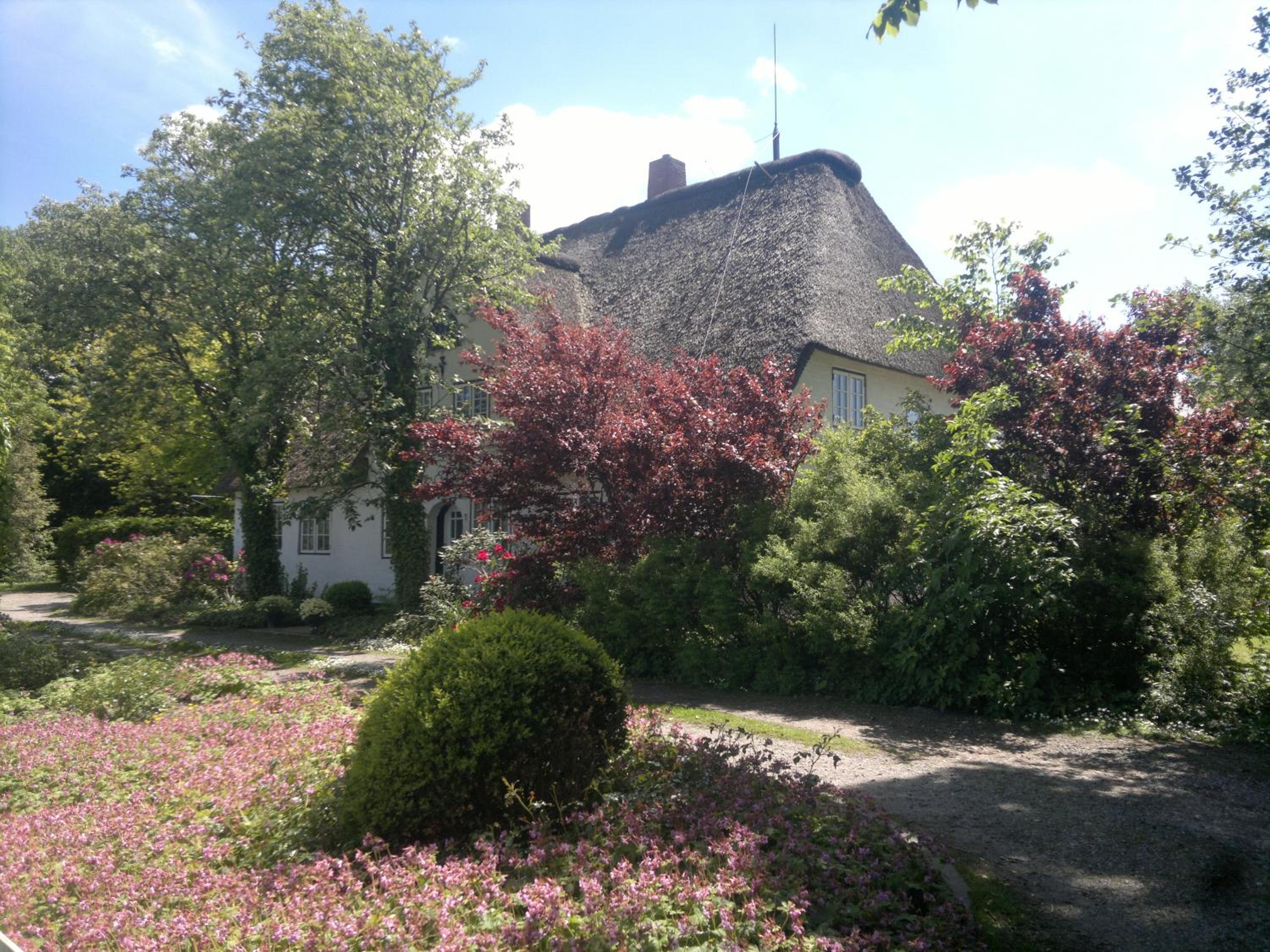 Photo 29