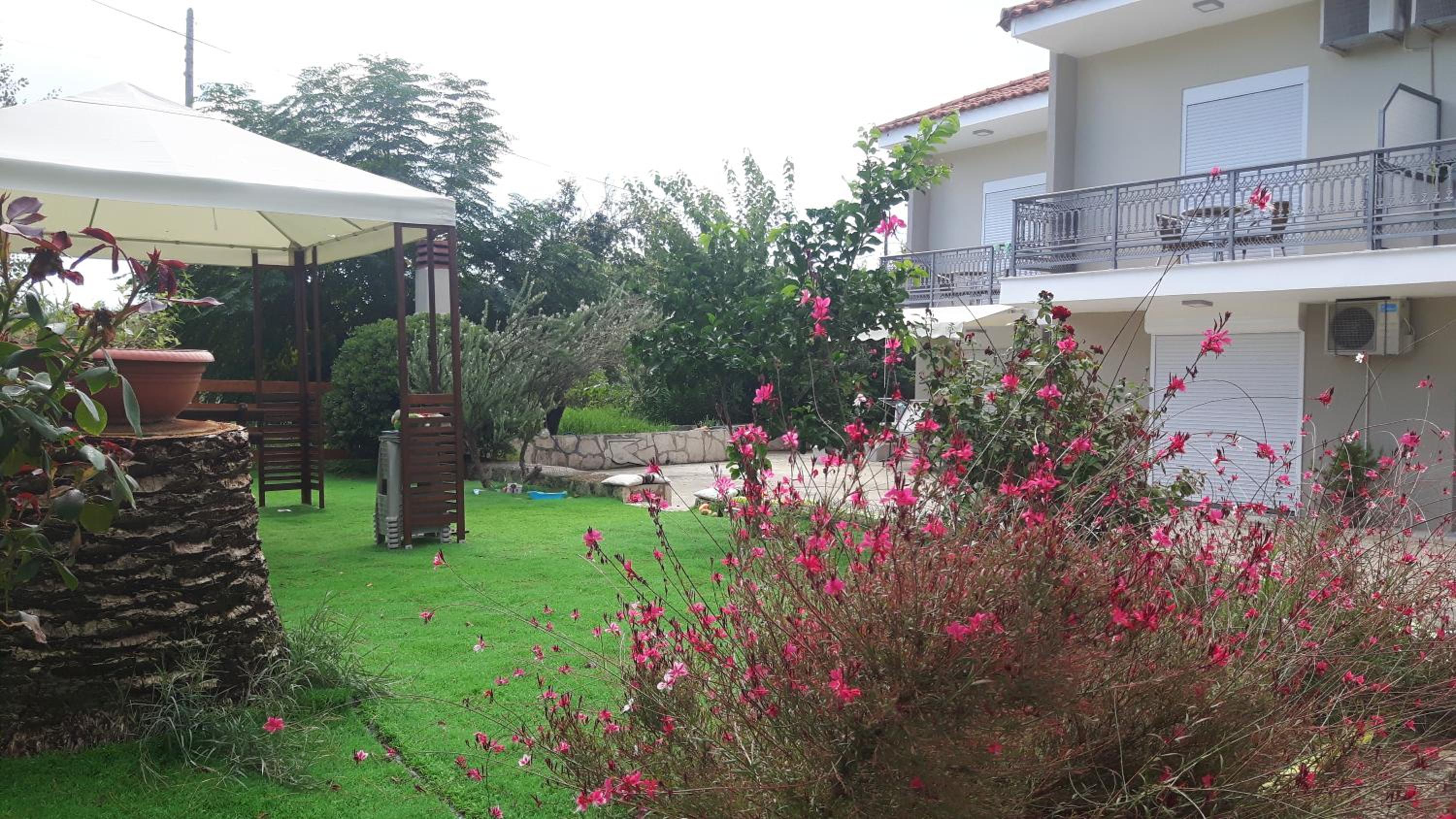Laganas Vacations - Alba Boutique Apartments - Property Image 4