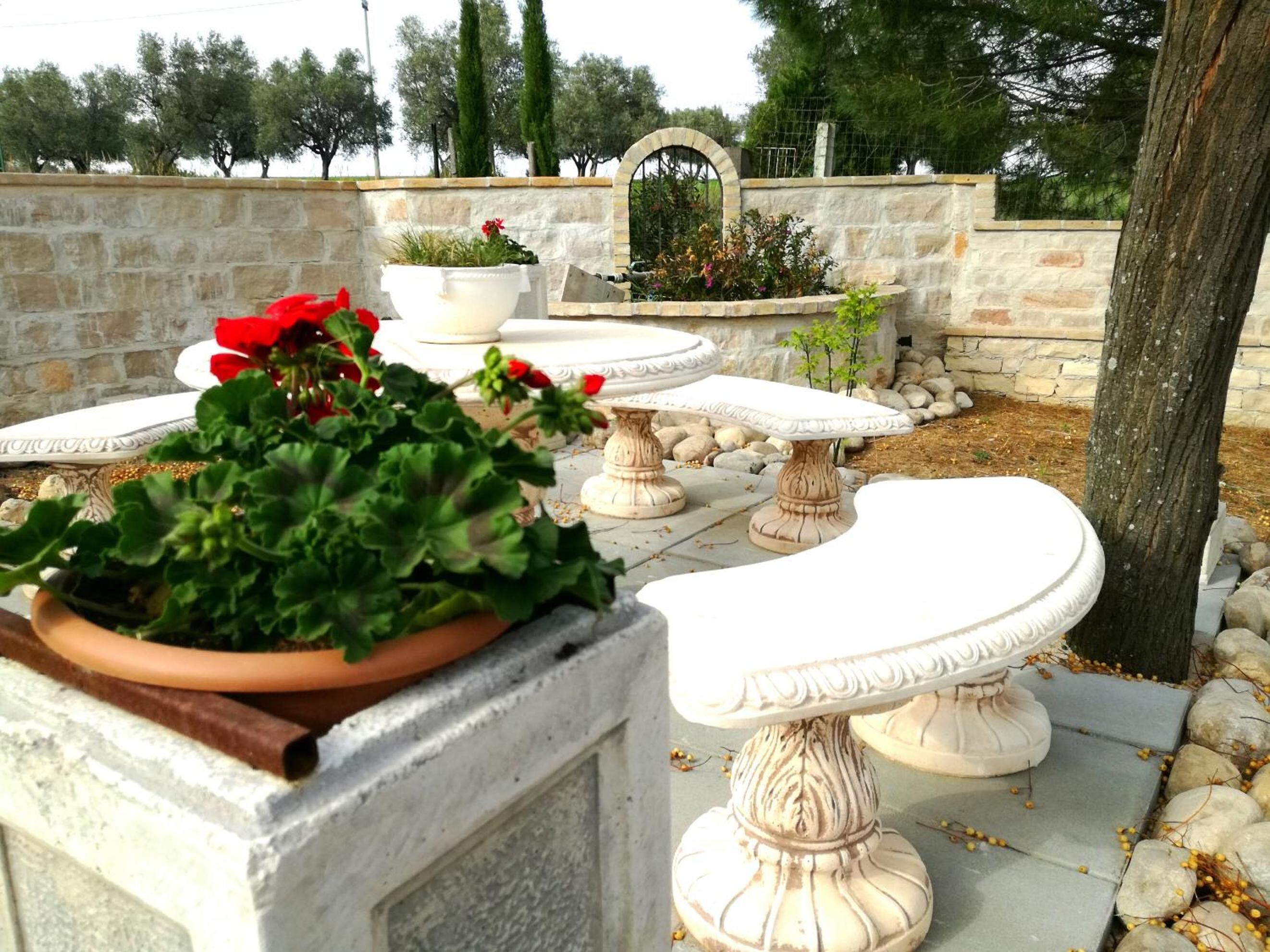 Albadido view 2