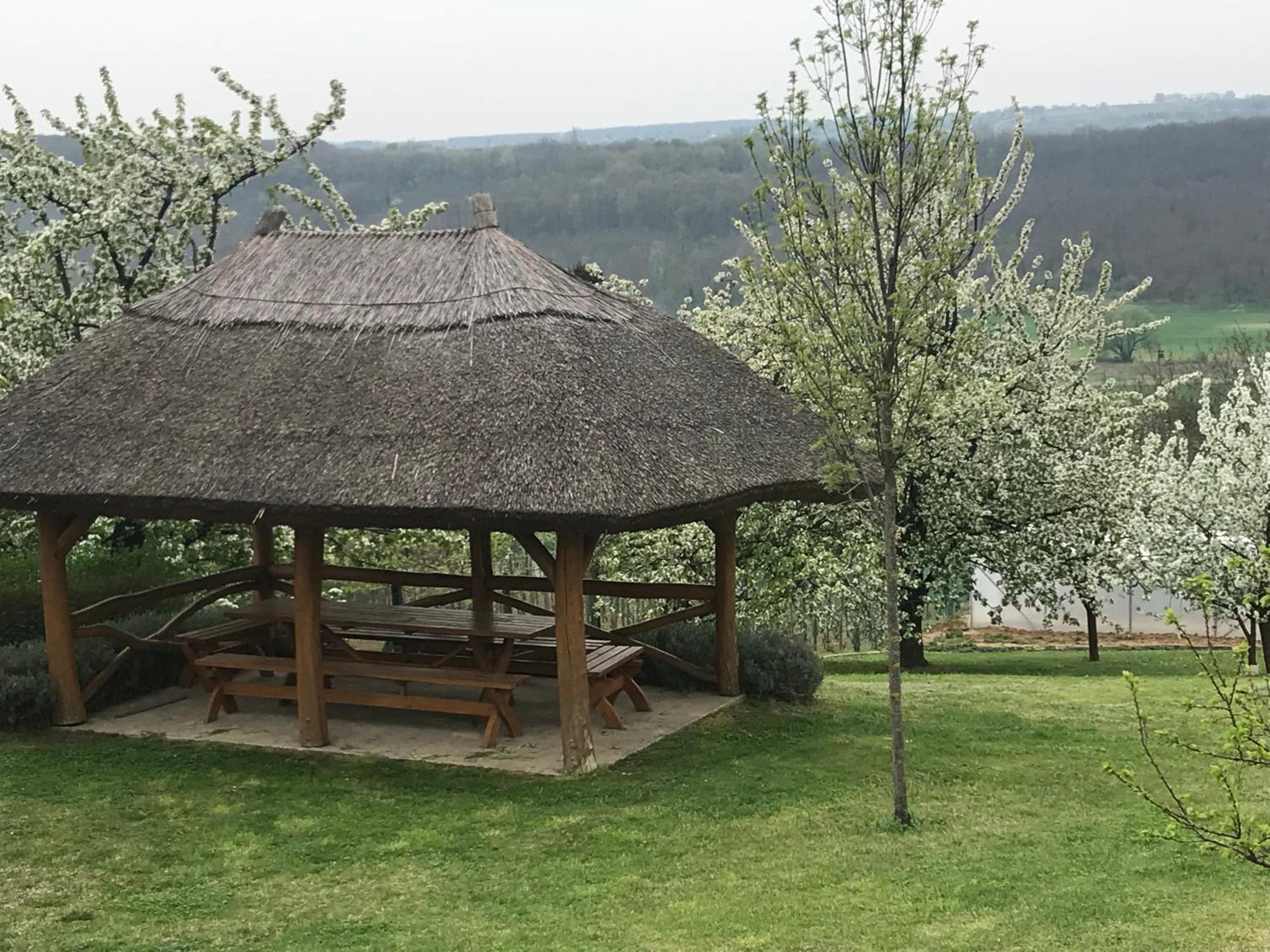 Farkas Apartman Rezi