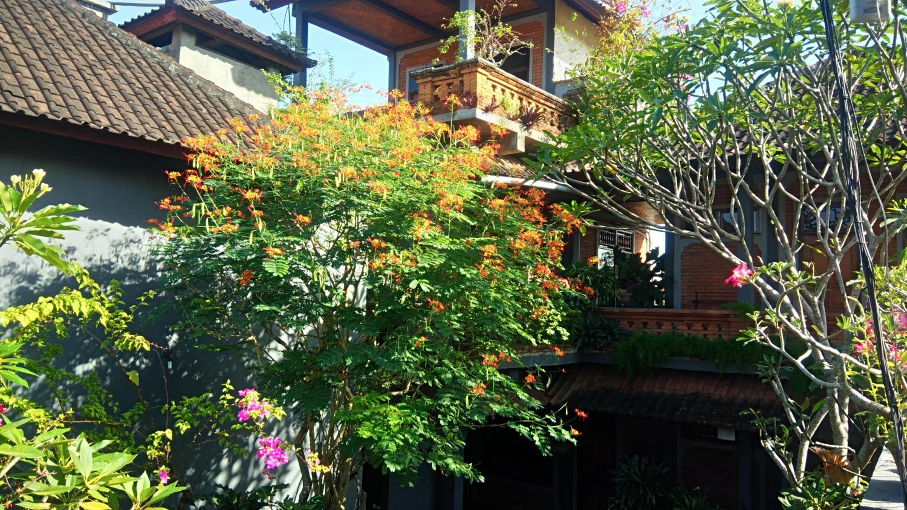 Candra Asri Bungalow! Free Early Check In!