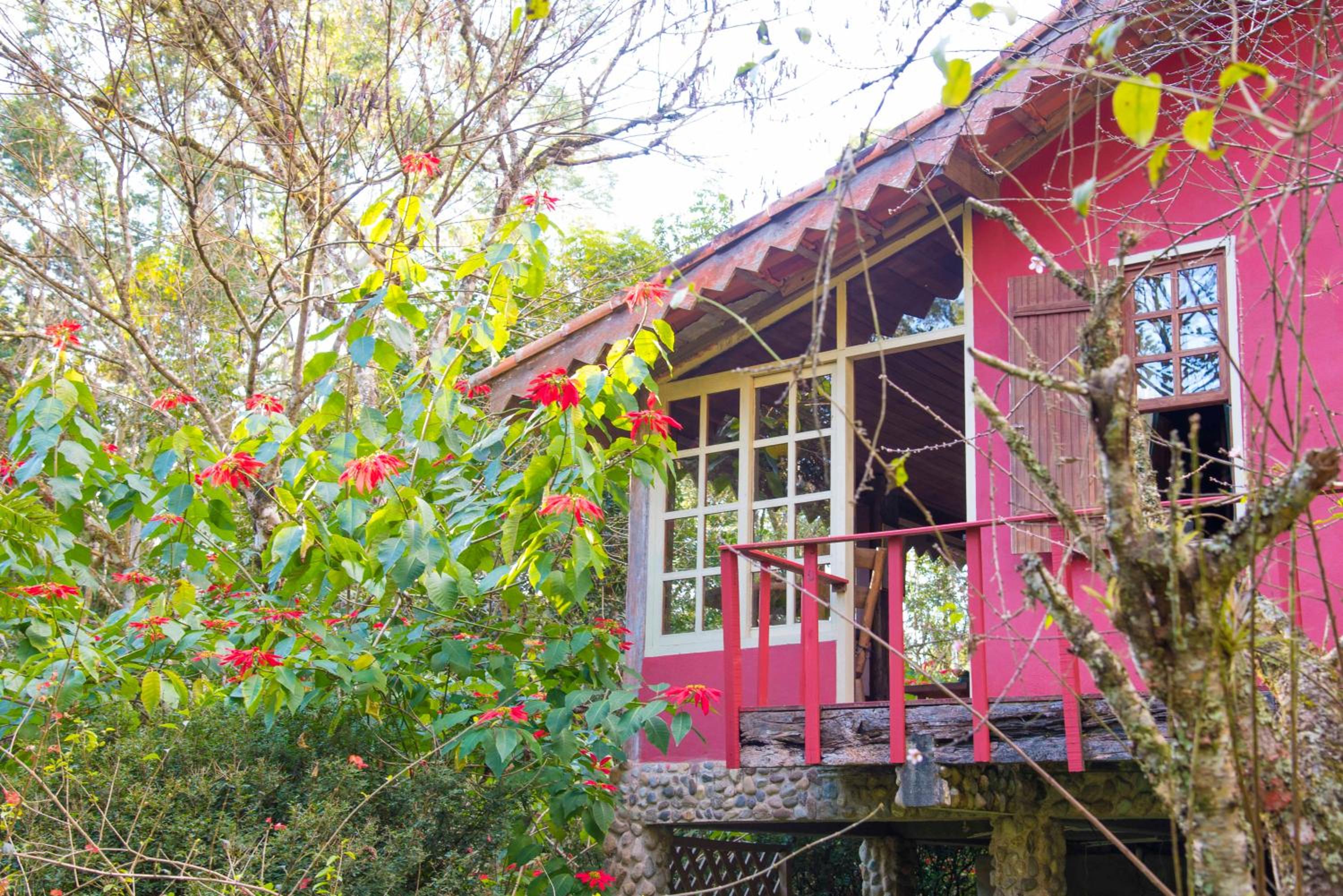 Hotel Pousada Fazenda do Mel