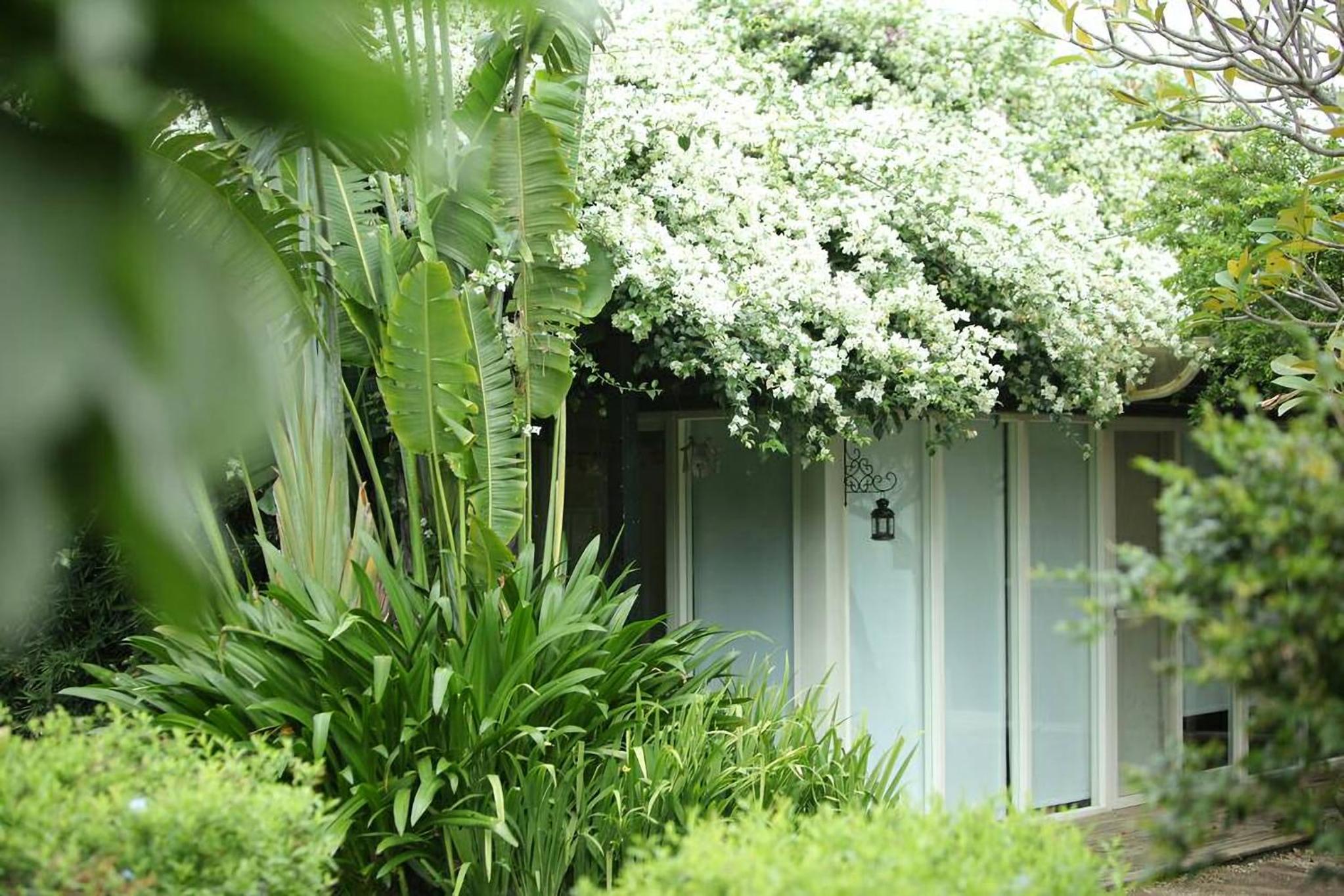 The House 15 Villa