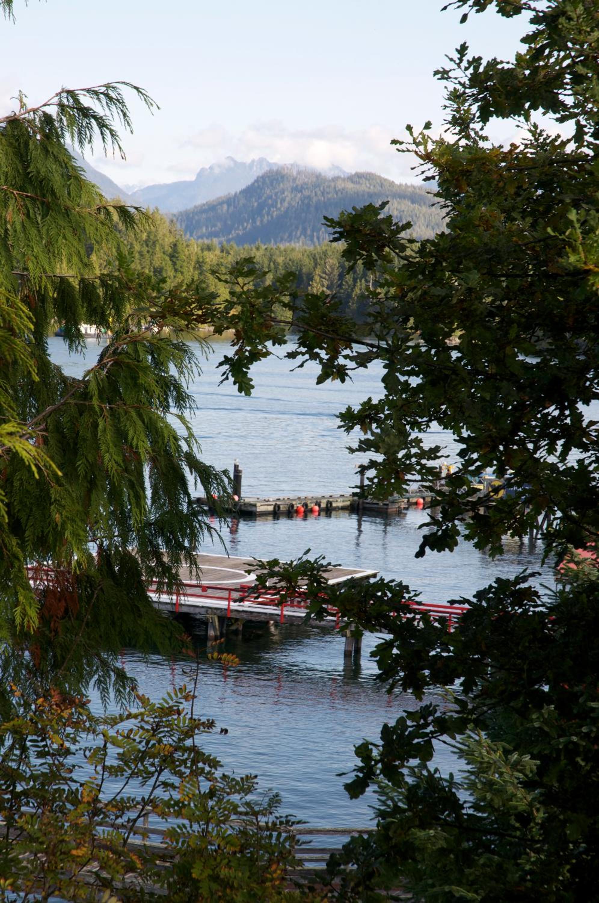 Tofino Vacations - Himwitsa Lodge - Property Image 33