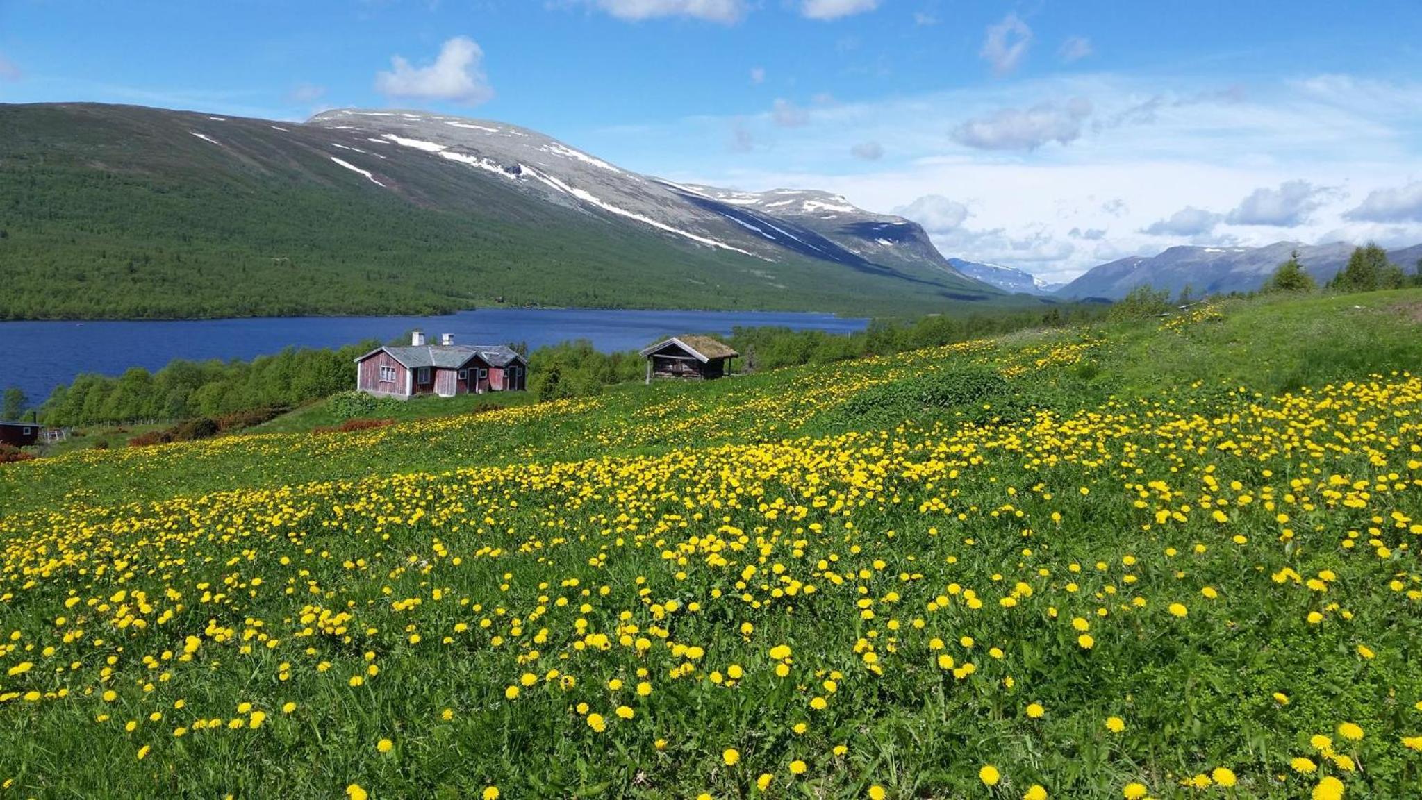 Gomobu Fjellstue