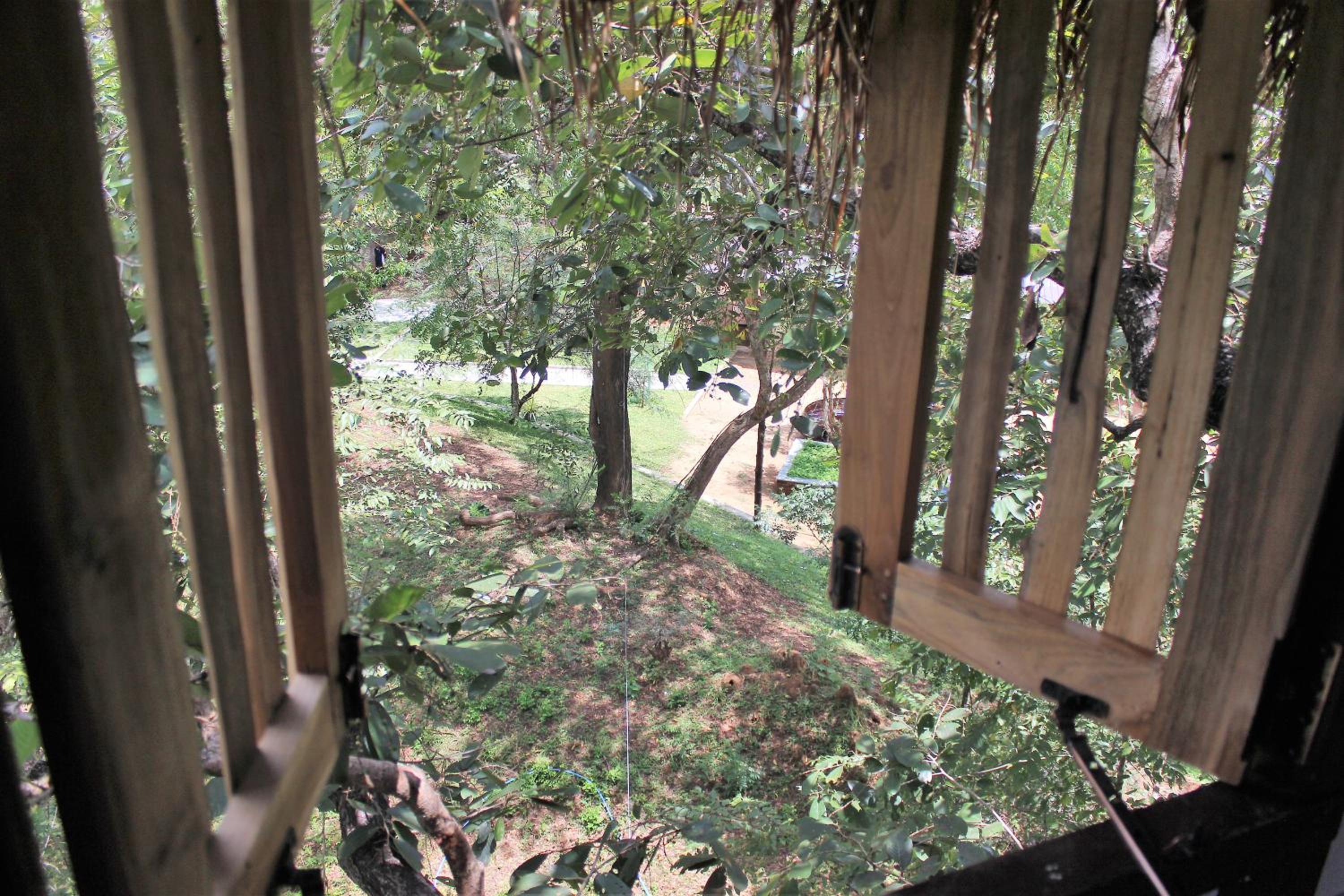 Wildescape Polonnaruwa