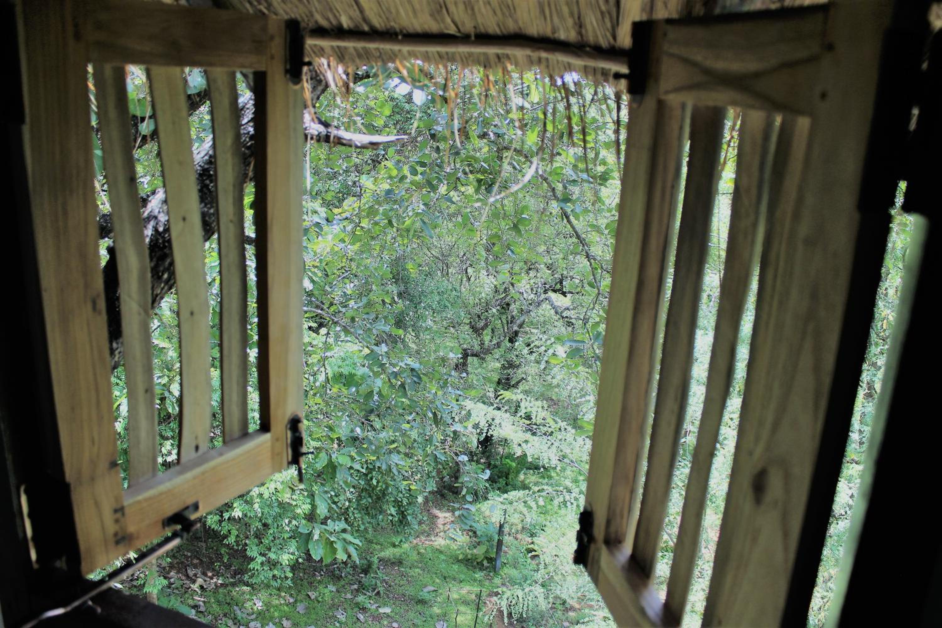 Wildescape Polonnaruwa