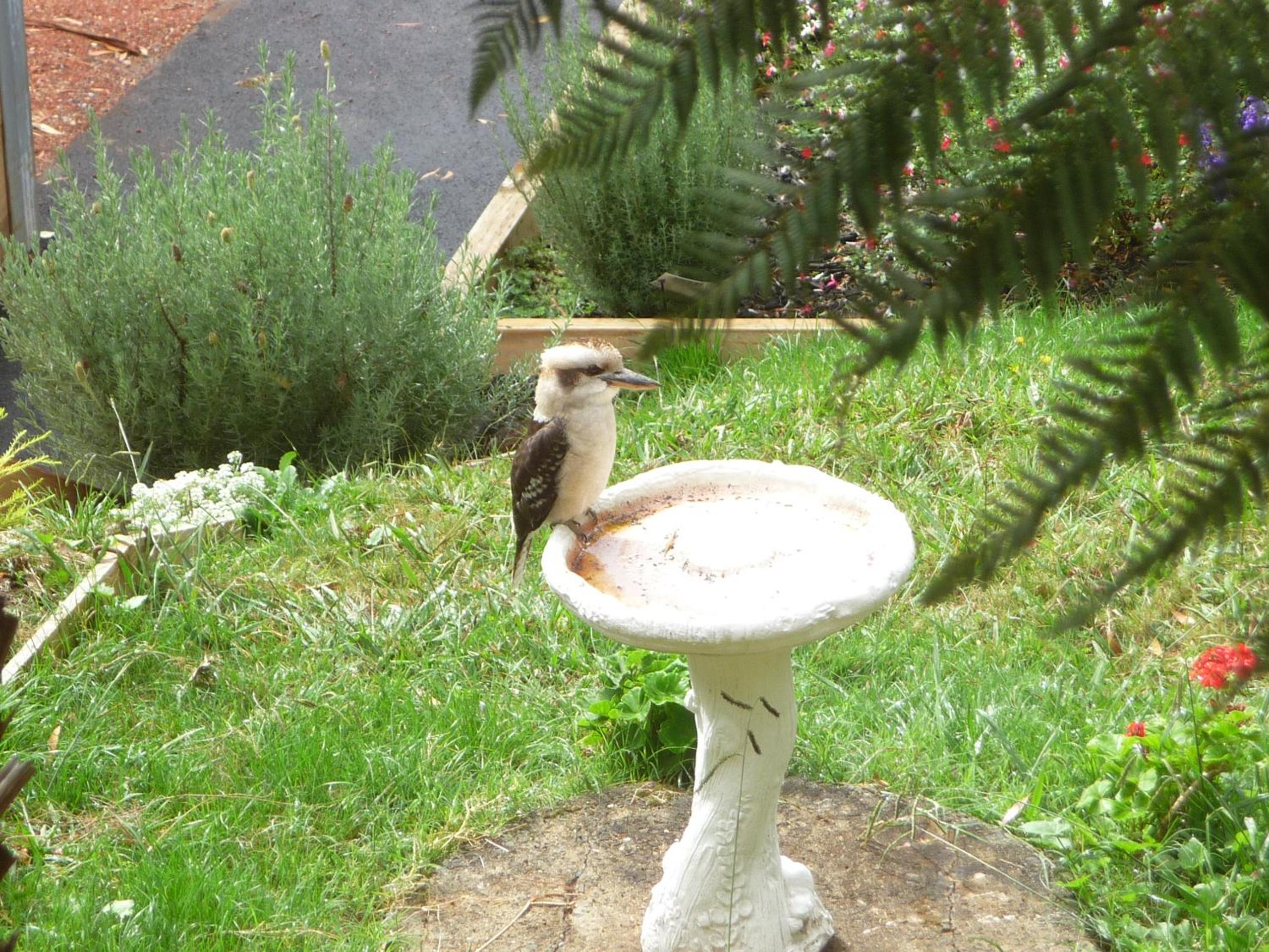 Photo 25