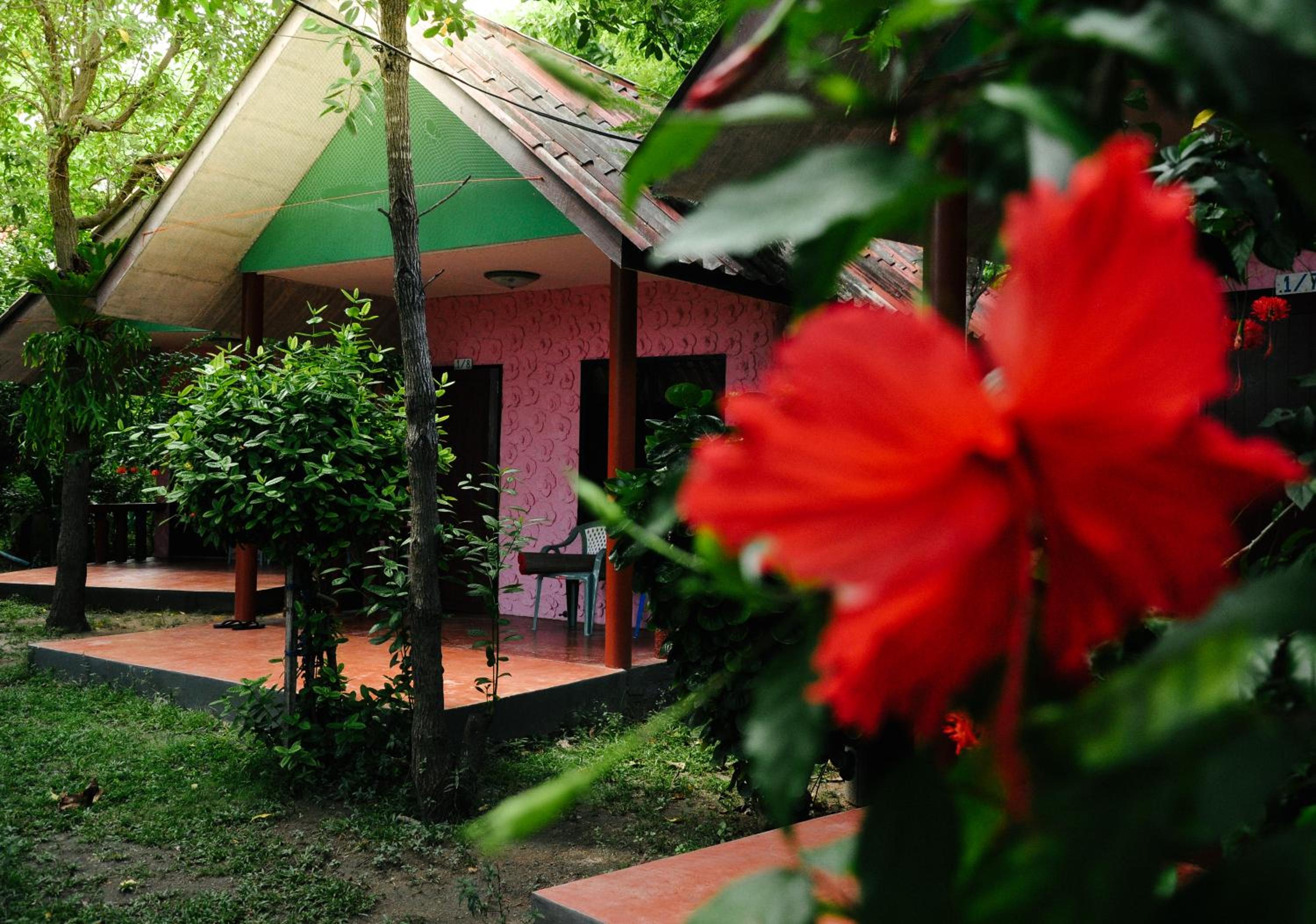 Coral Resort & Bungalows