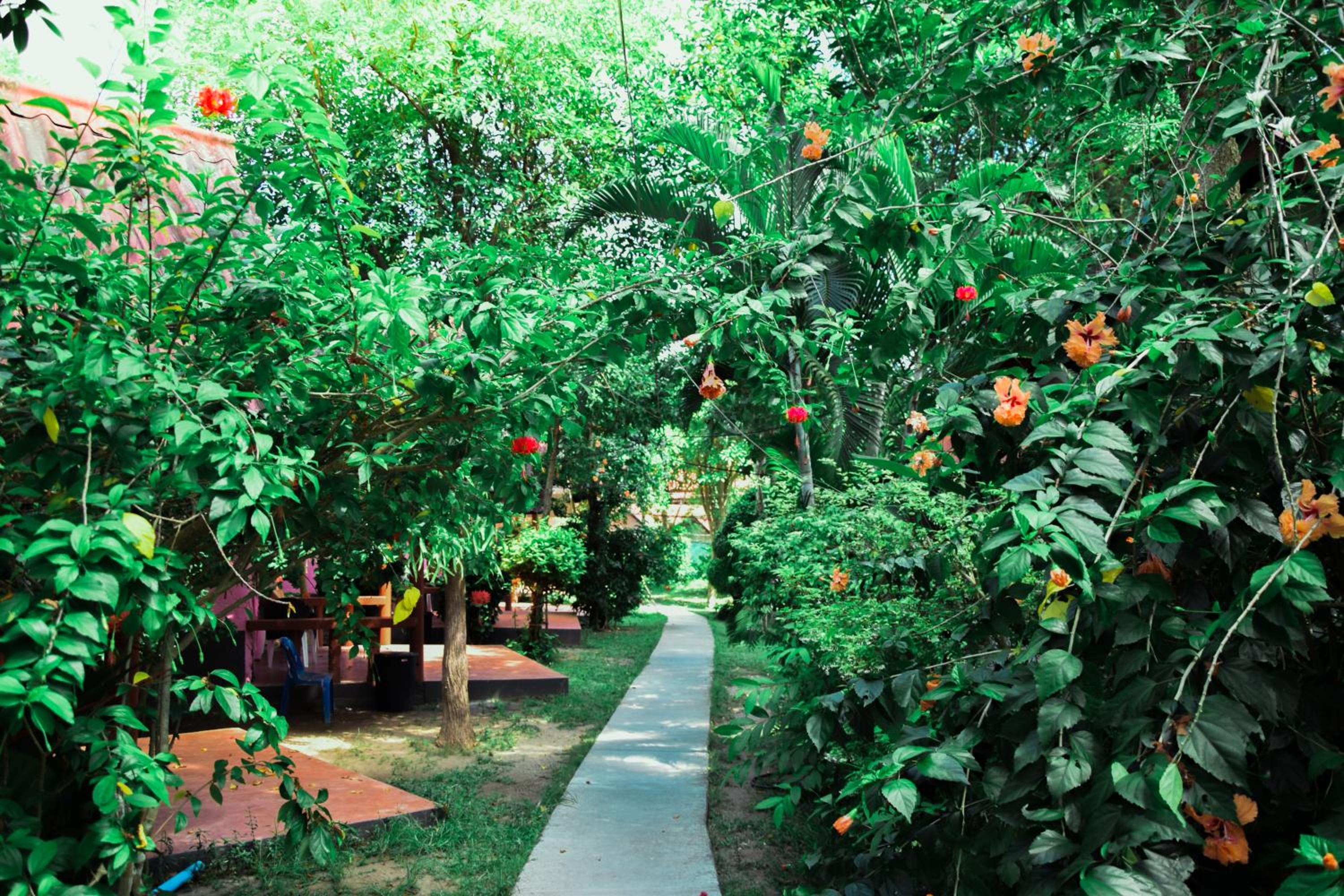 Coral Resort & Bungalows