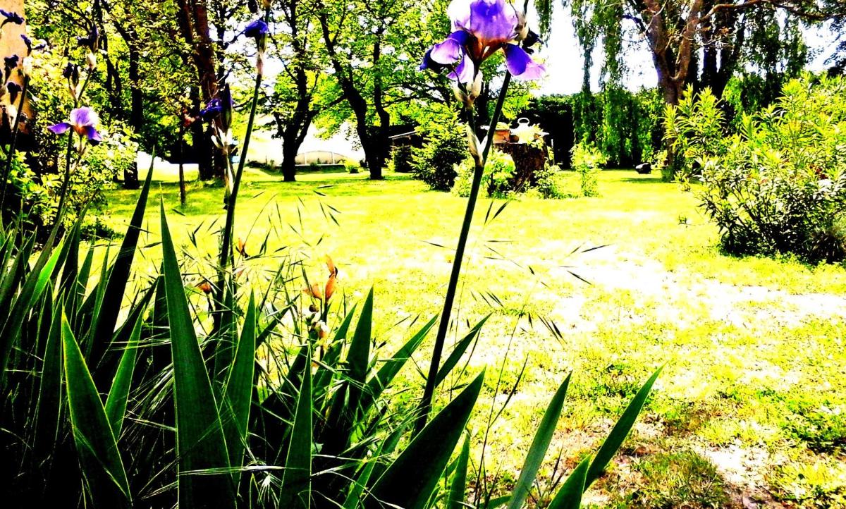 Photo 46