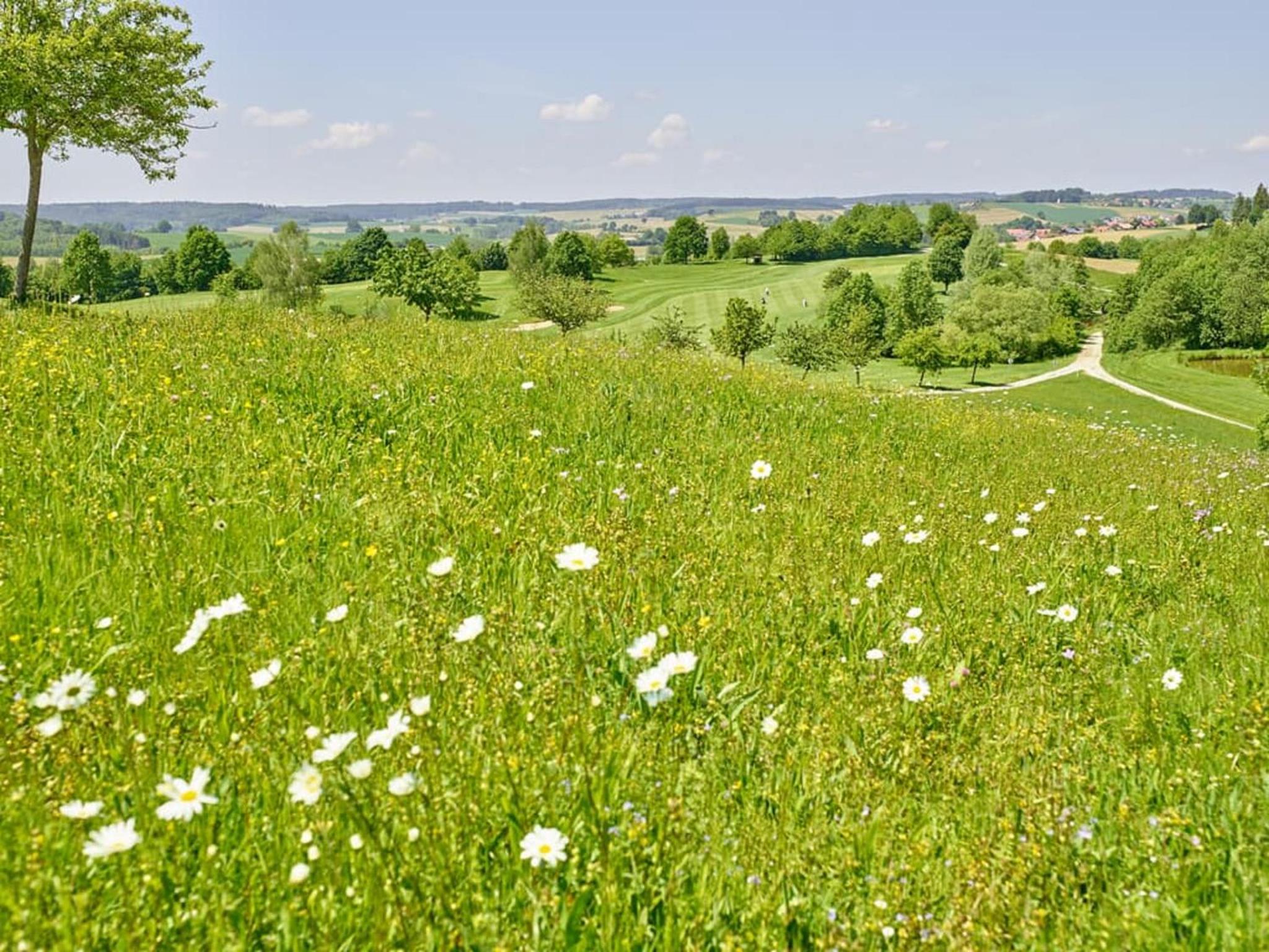 Gutshof Brunnwies