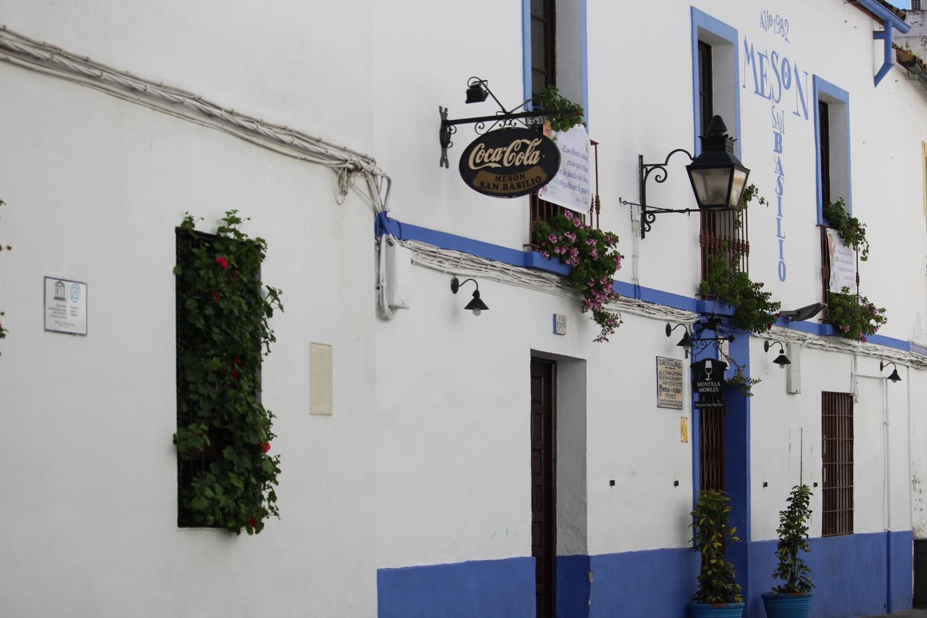 Casa longa view 3