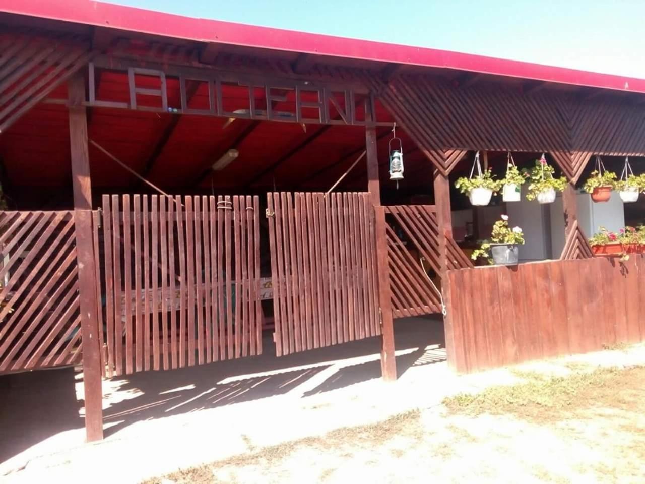 La Olteanu