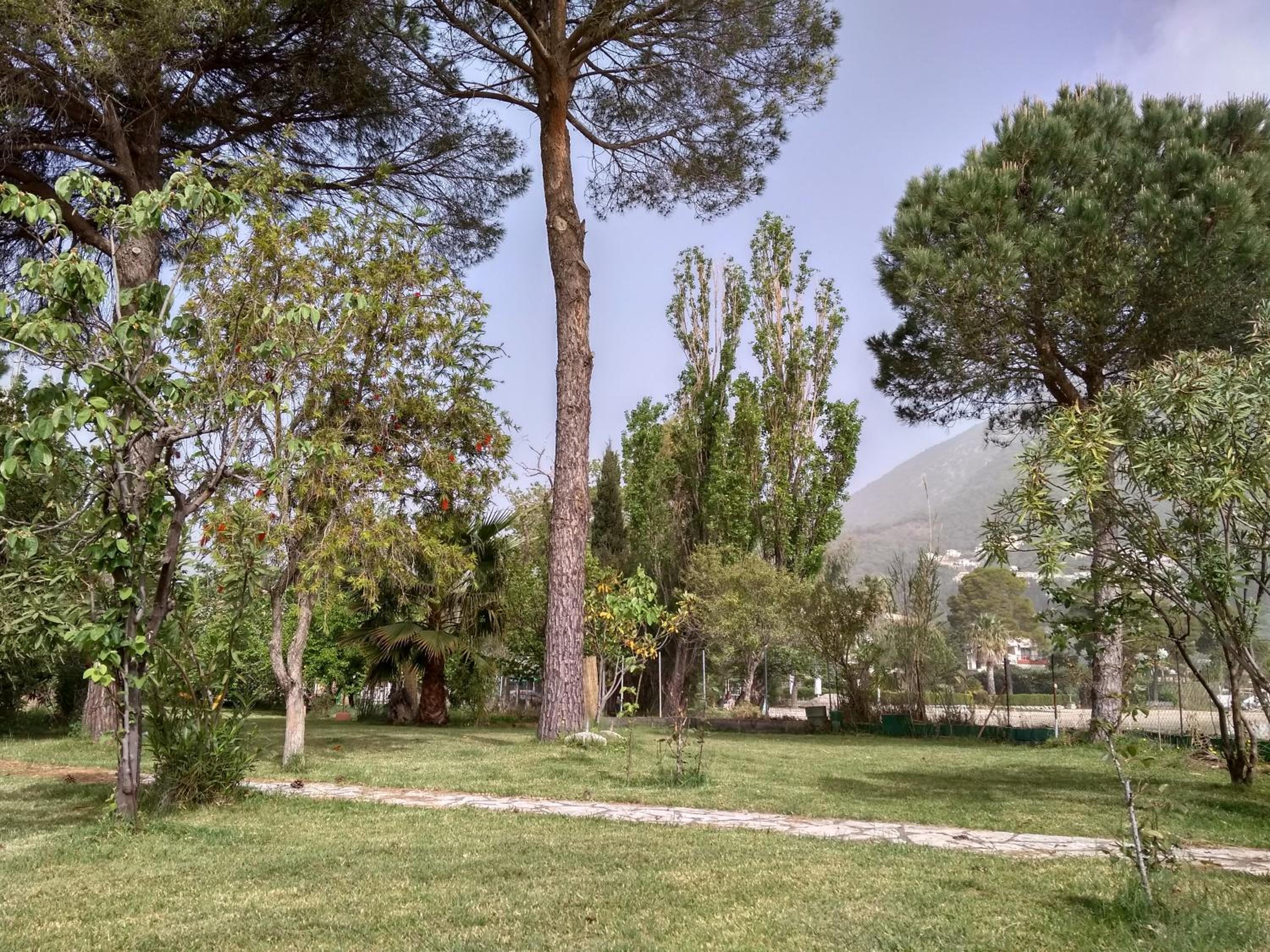 Photo 32