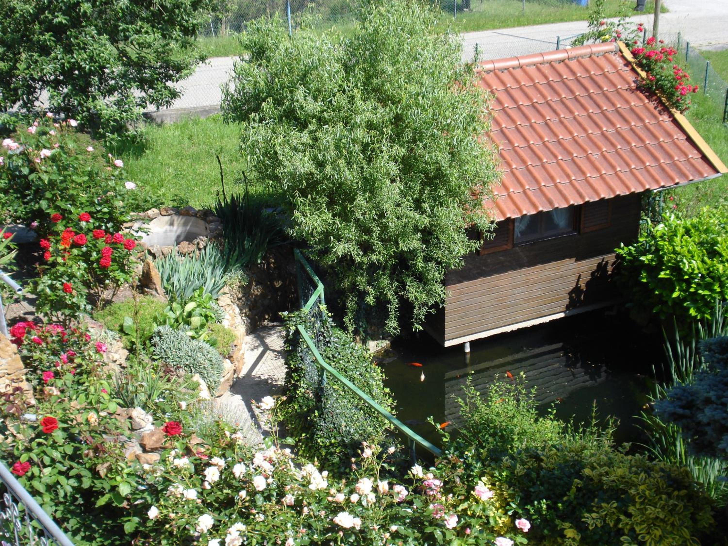 Photo 27