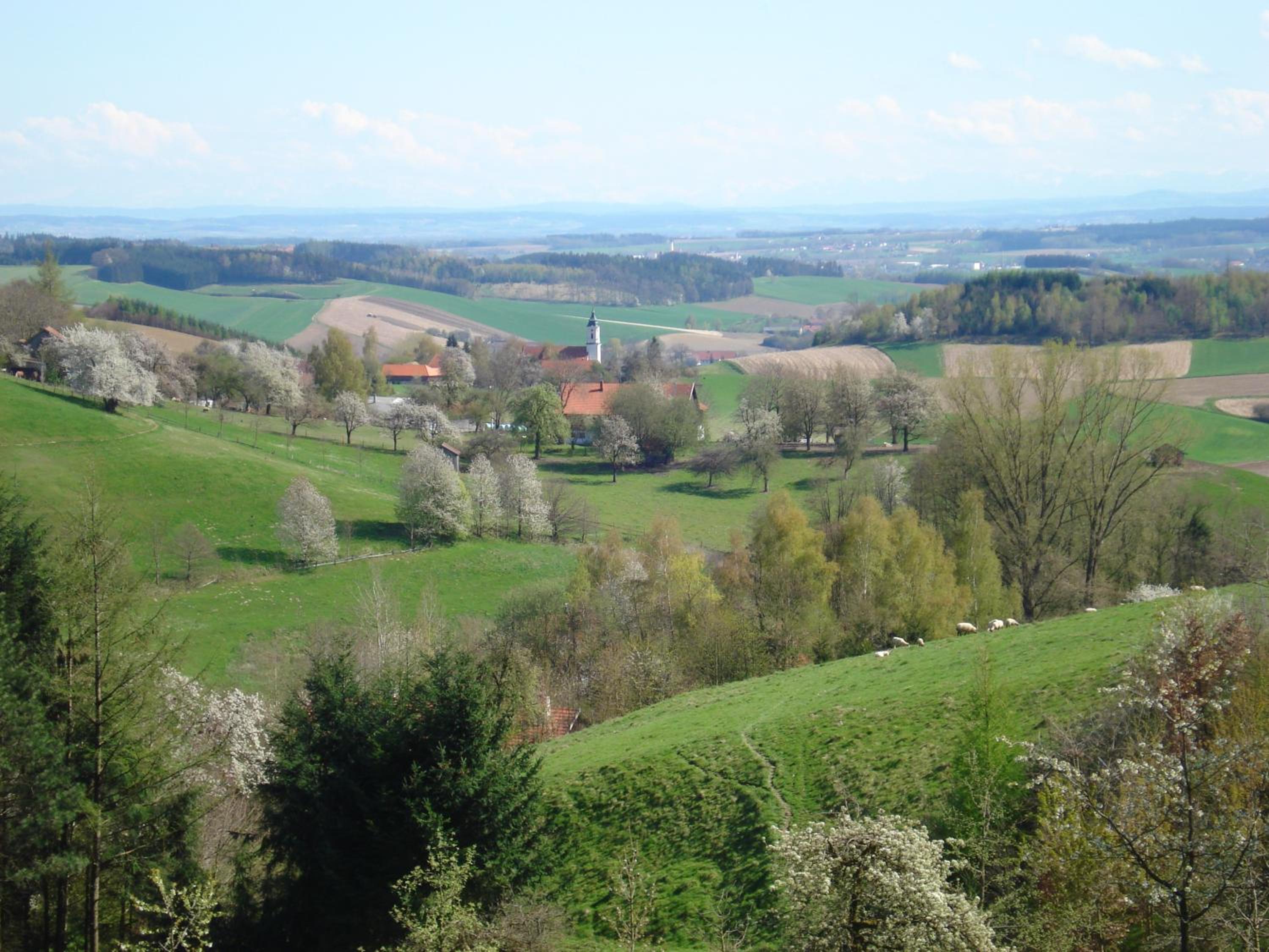 Haus Spiessl view 5