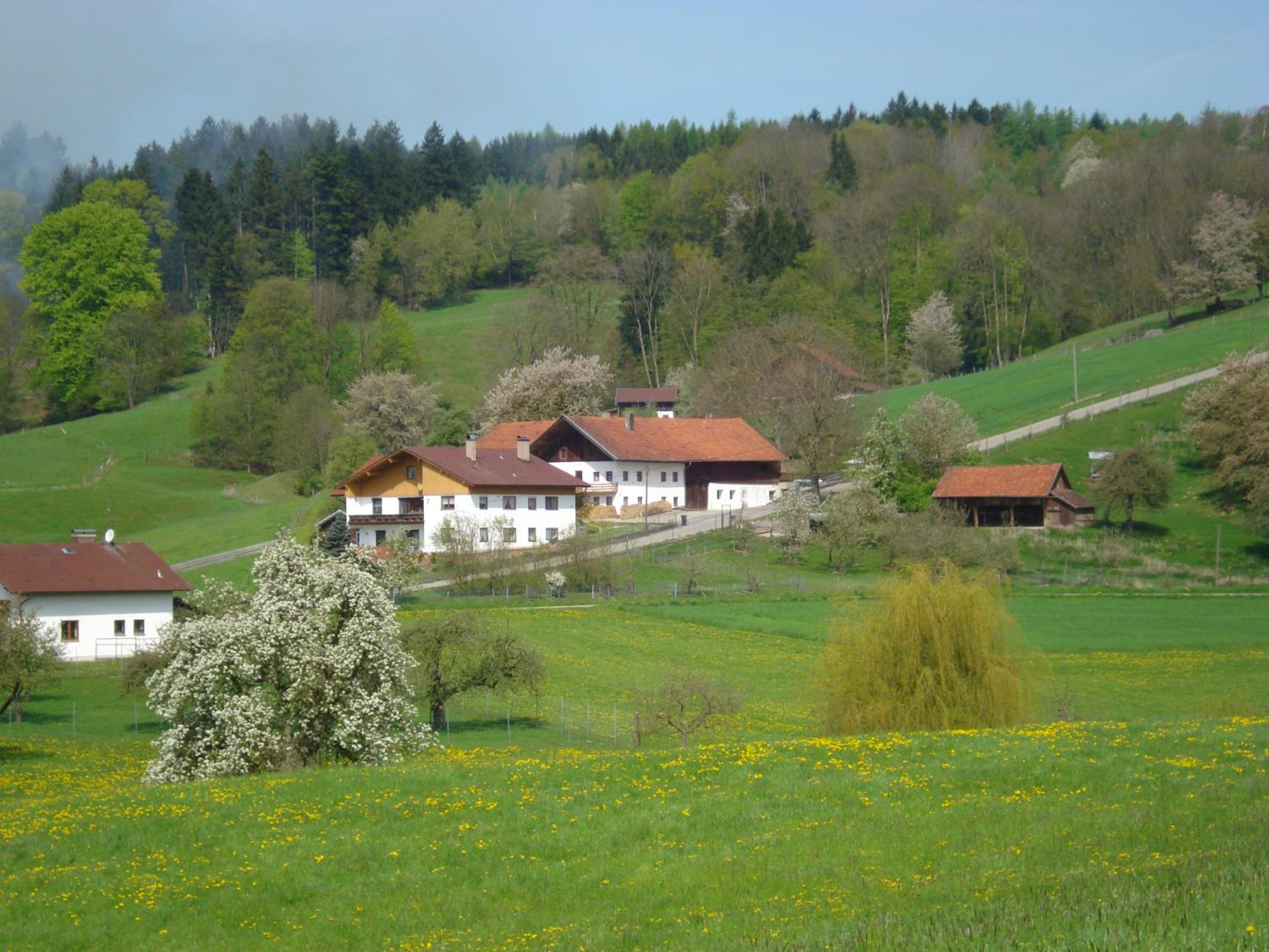Haus Spiessl view 2