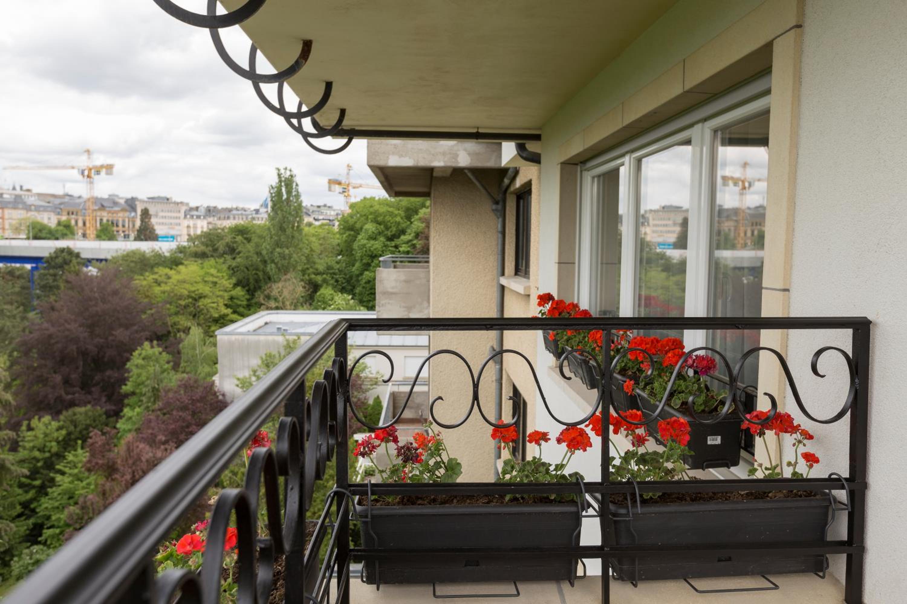 The Queen Luxury Apartments - Villa Vinicia