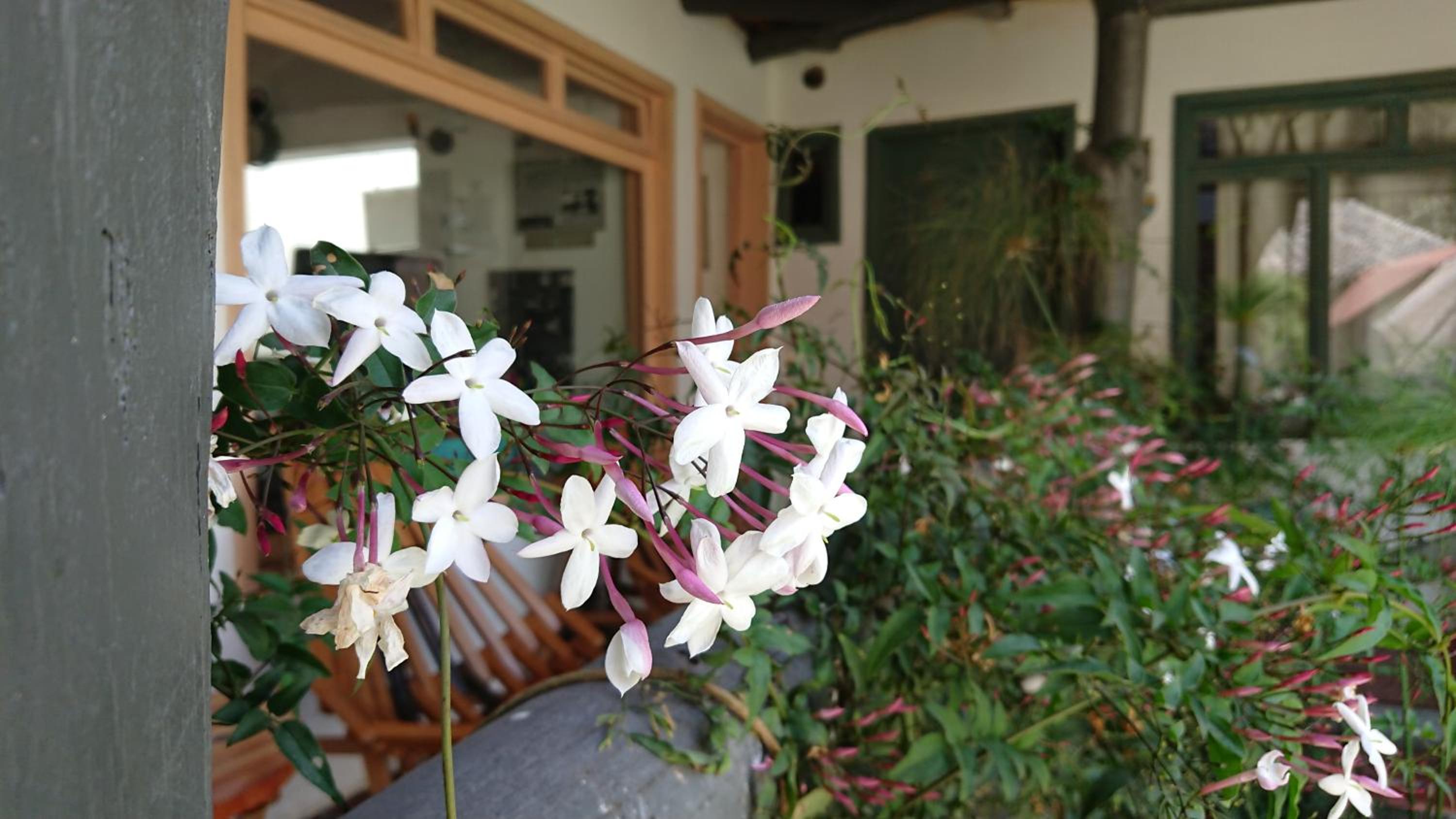 Villa Mimi