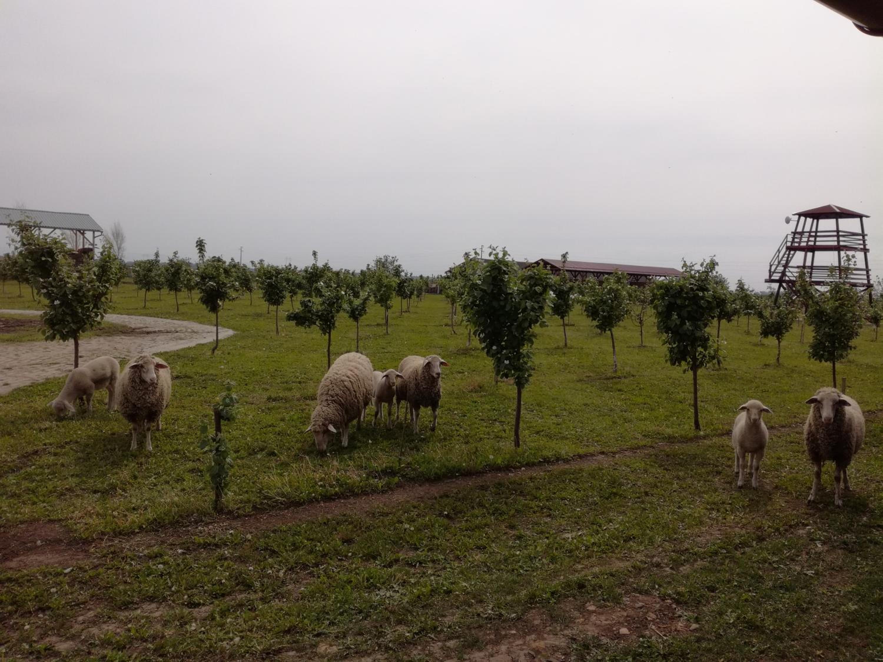 Photo 47