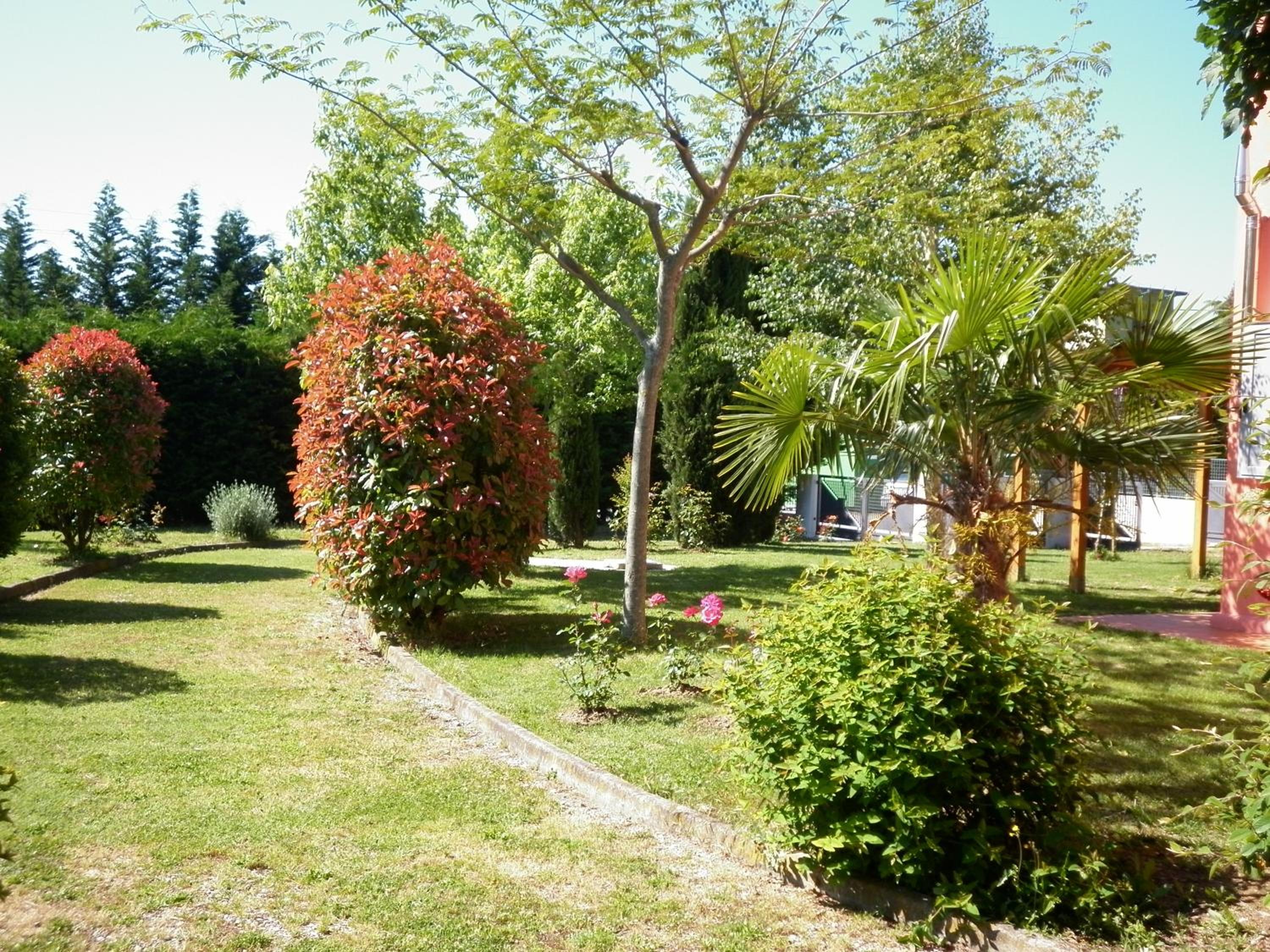 Photo 32