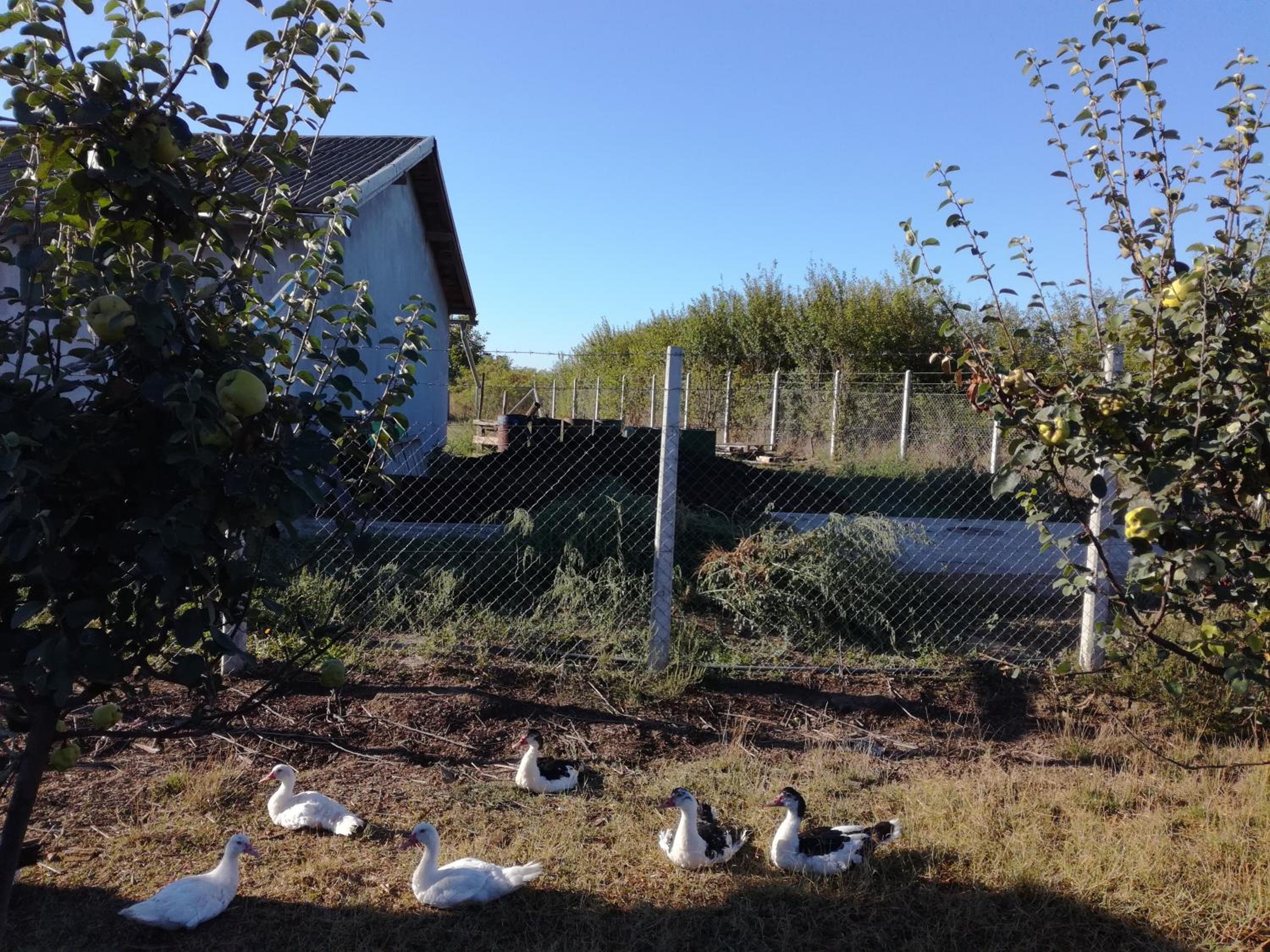 Photo 25