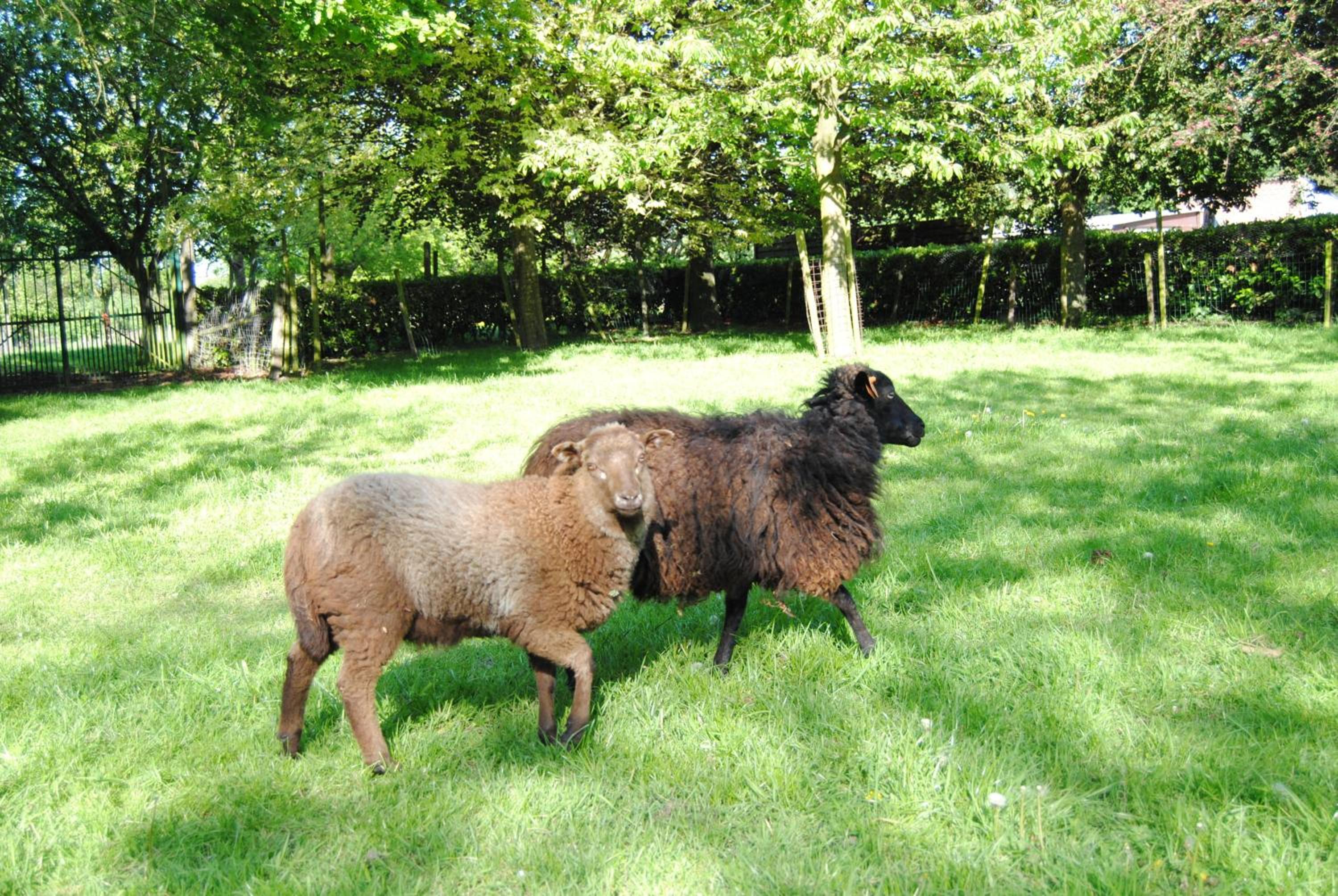 B&B Het Loonderhof