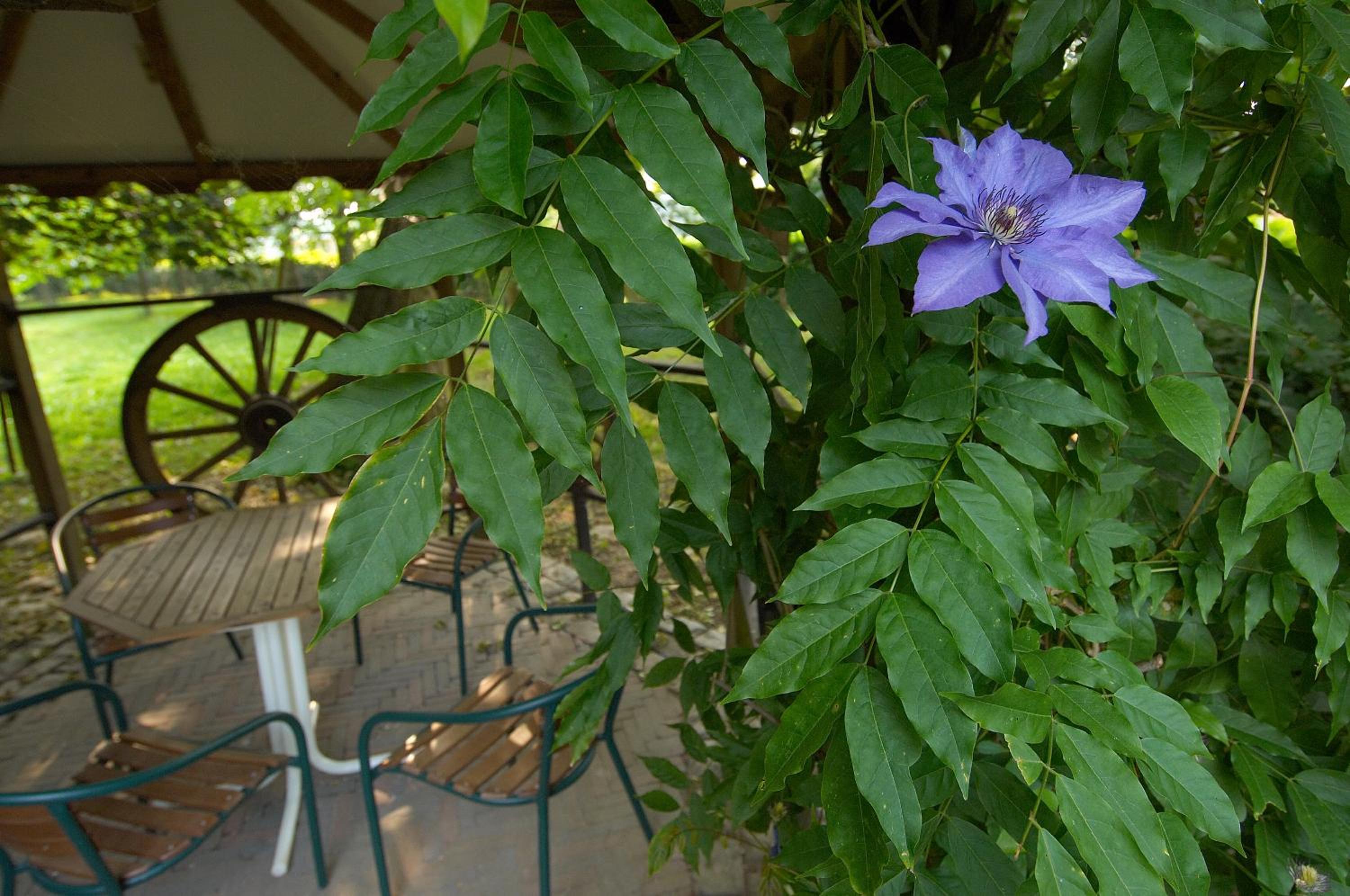 B&B Het Loonderhof