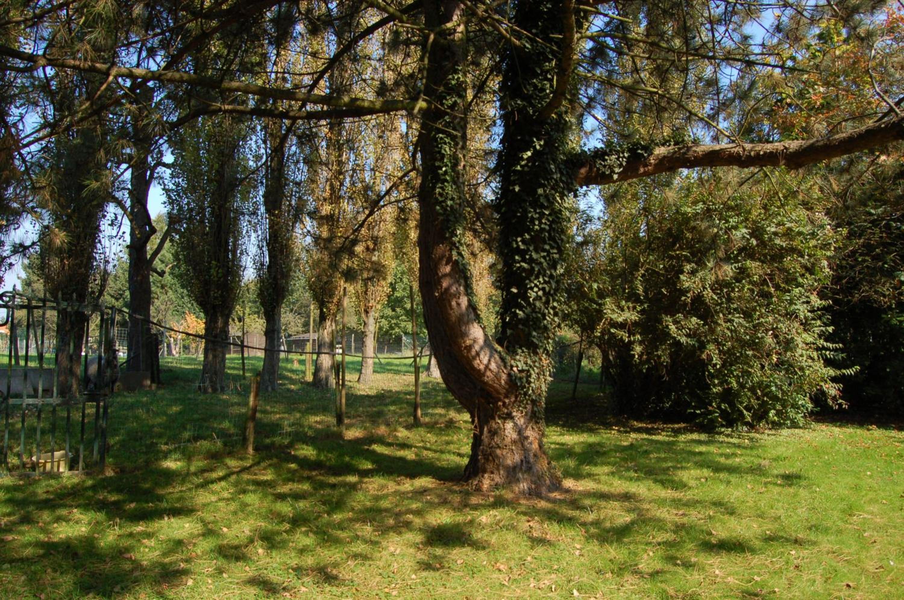 B&B Het Loonderhof
