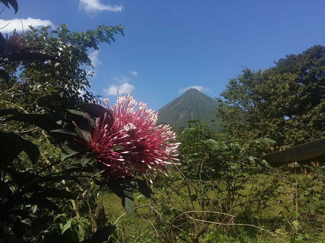 Tío Felix Eco Lodge