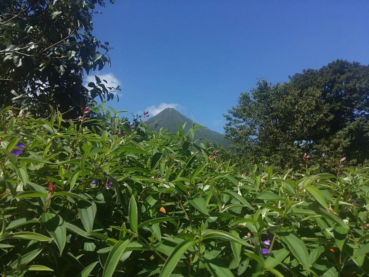 Tío Felix Eco Lodge