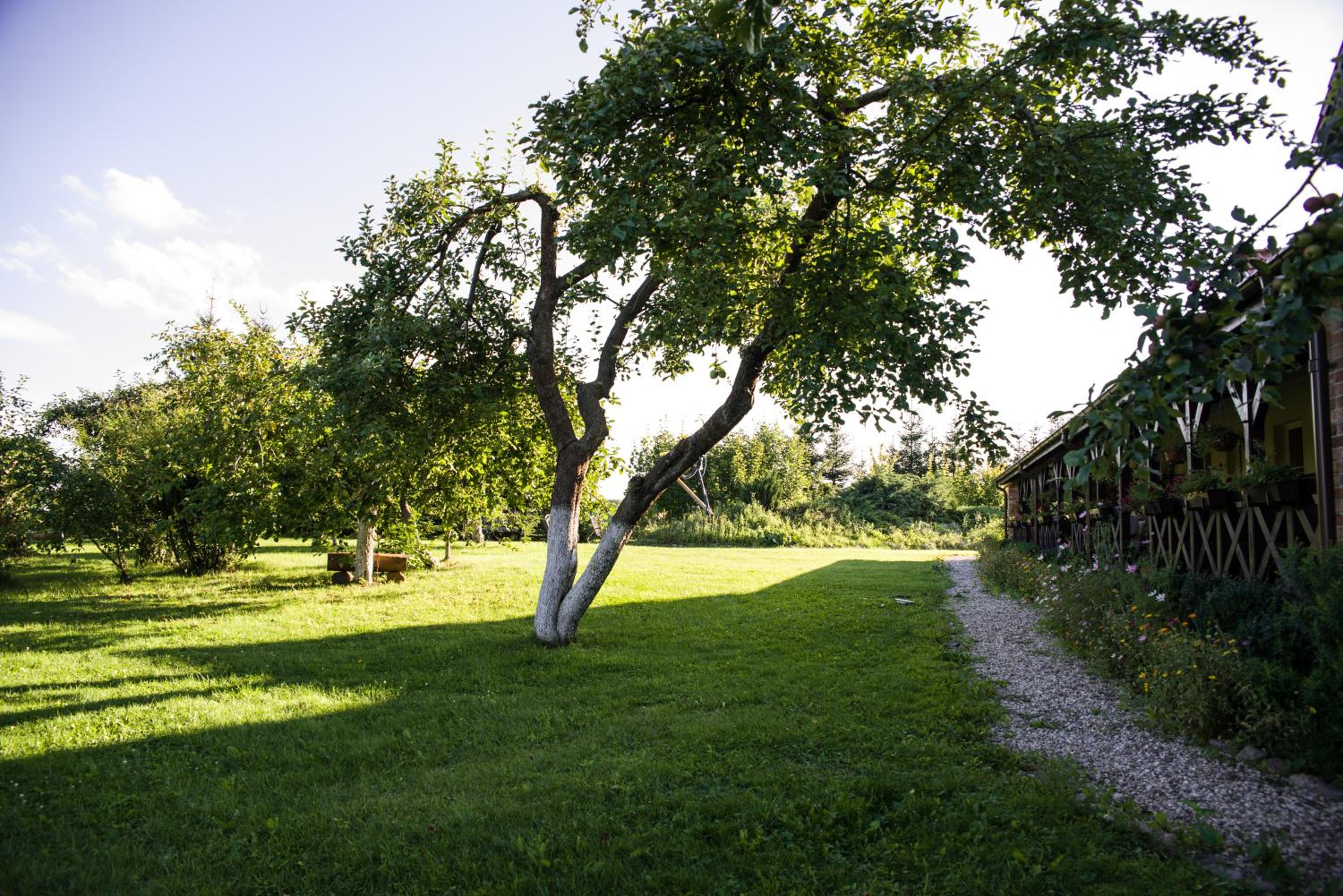 Photo 37