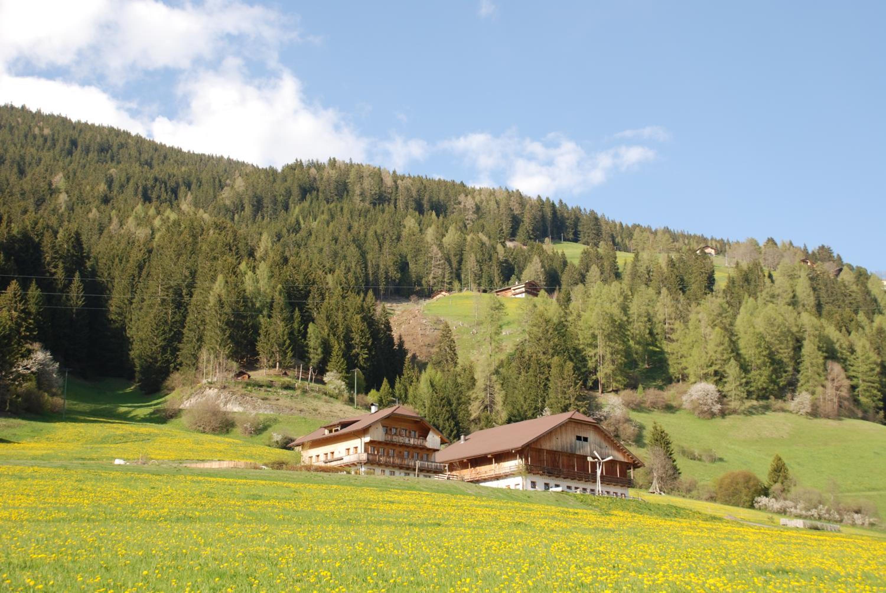 Im Kranzhof view 2