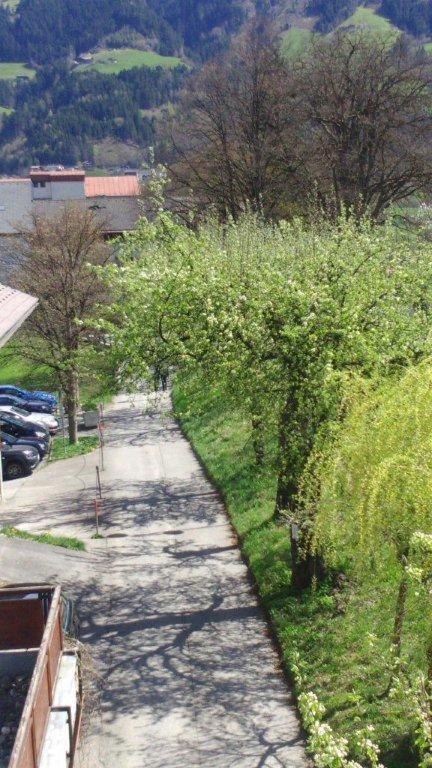 Photo 29