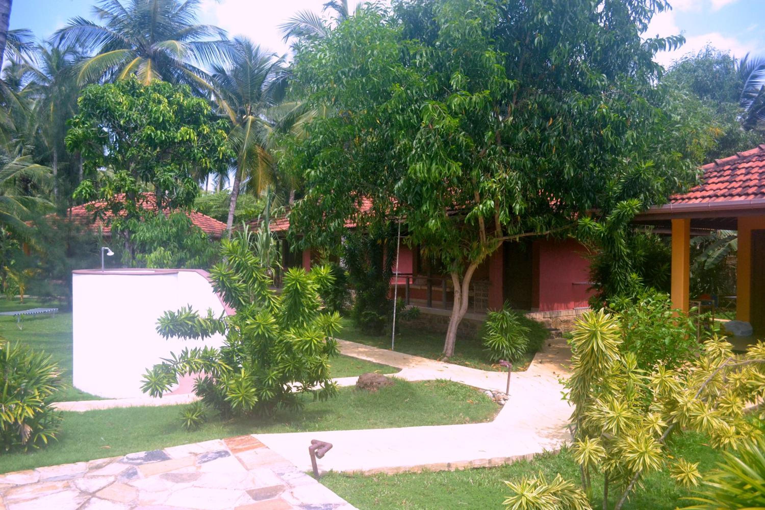 Photo 45