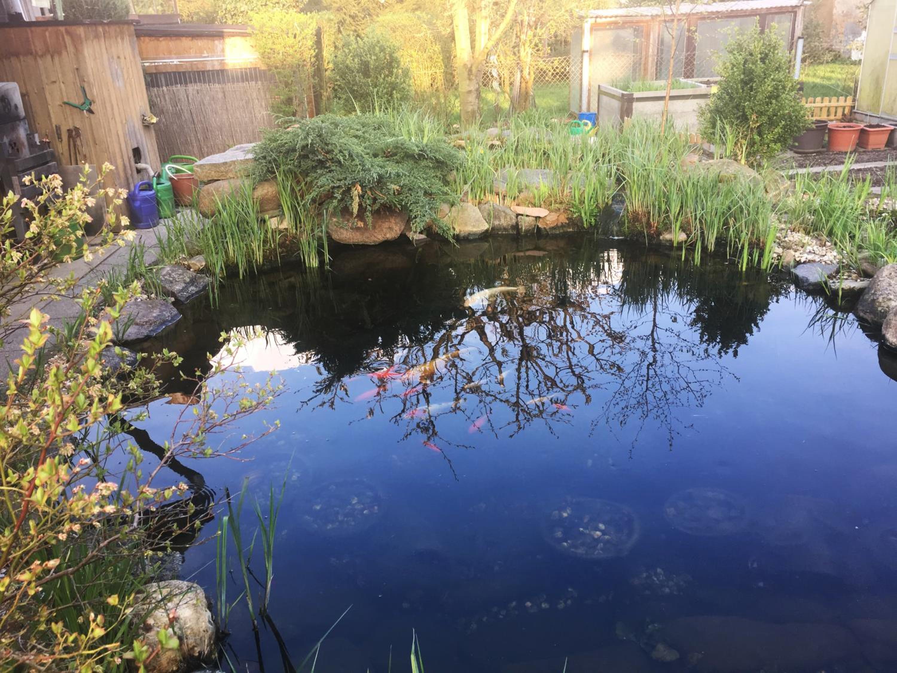 Ferienwohnung Fam.Stecher