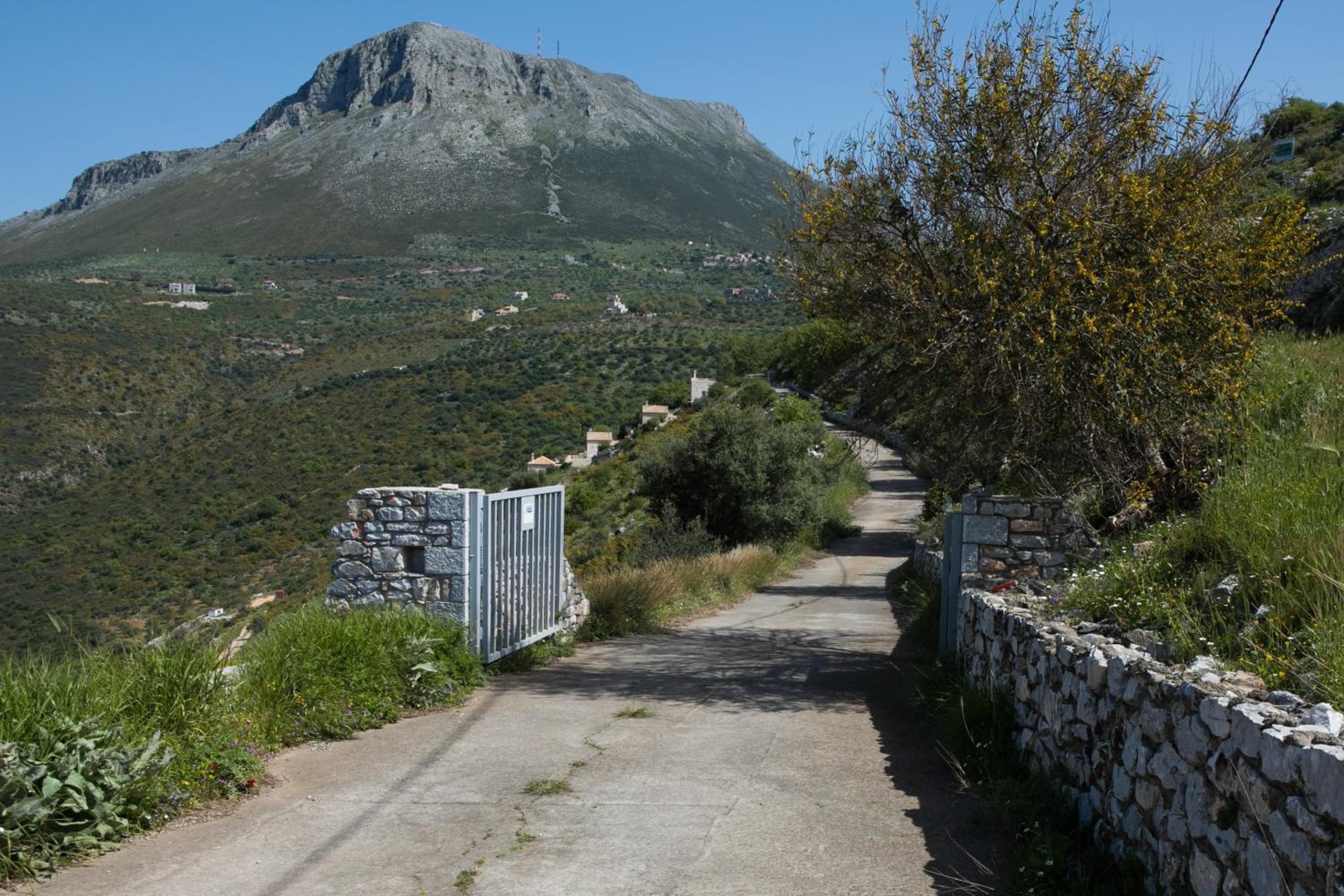 Photo 26