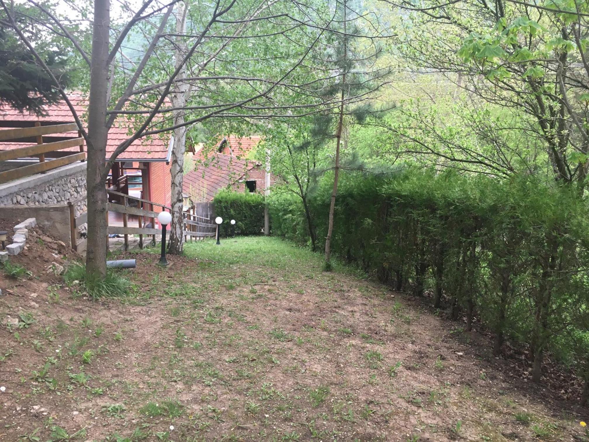 Photo 12