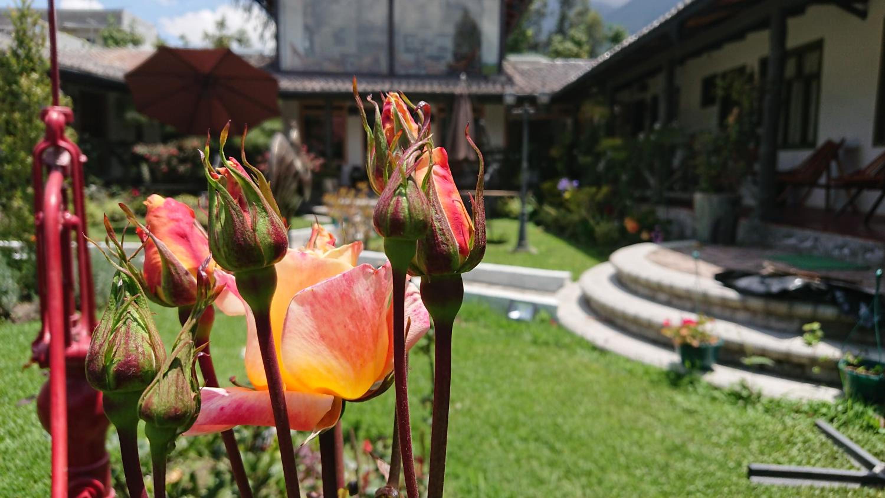 Villa Mimi en Otavalo — other