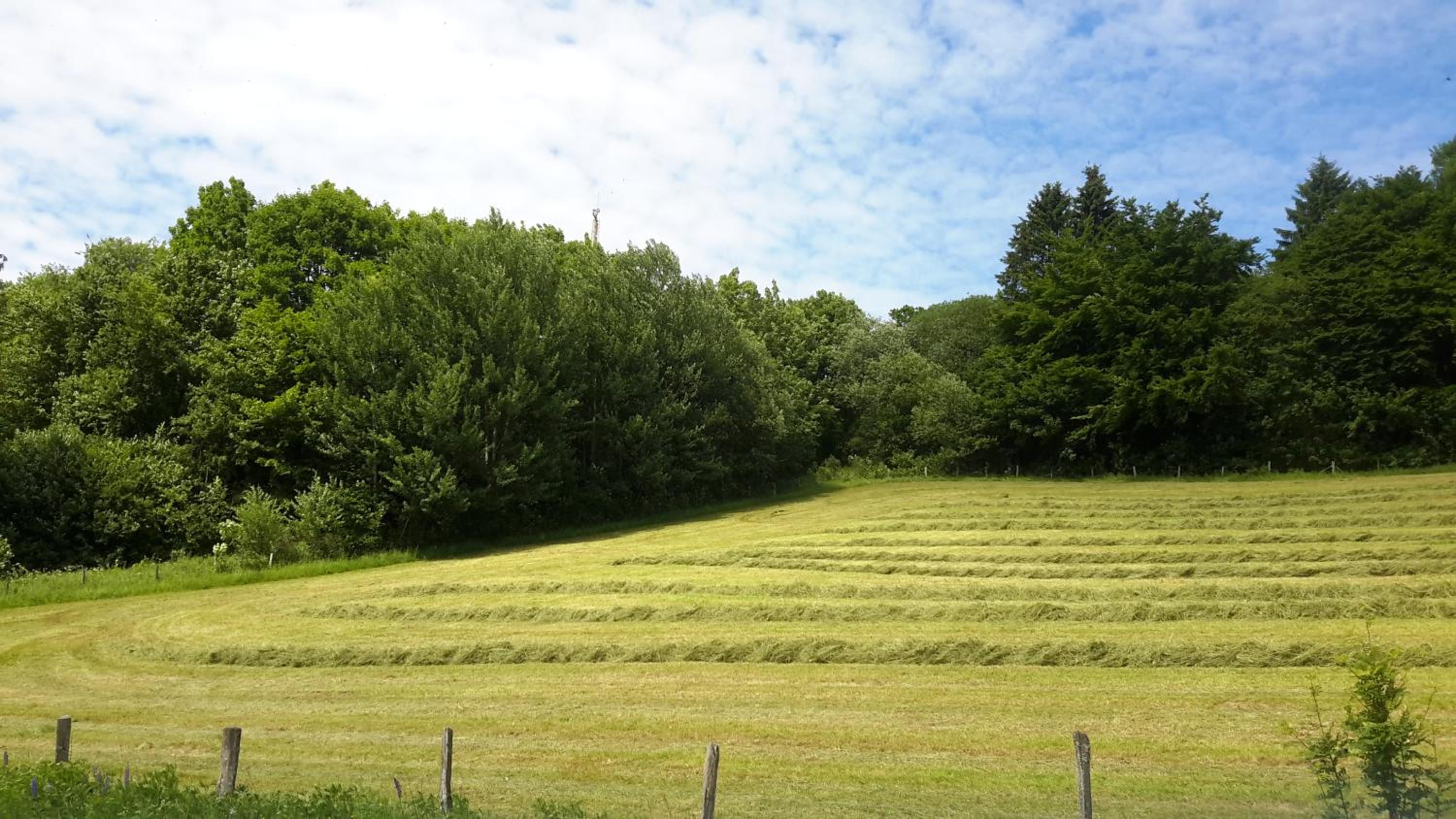 Niedersfeld Polzweg