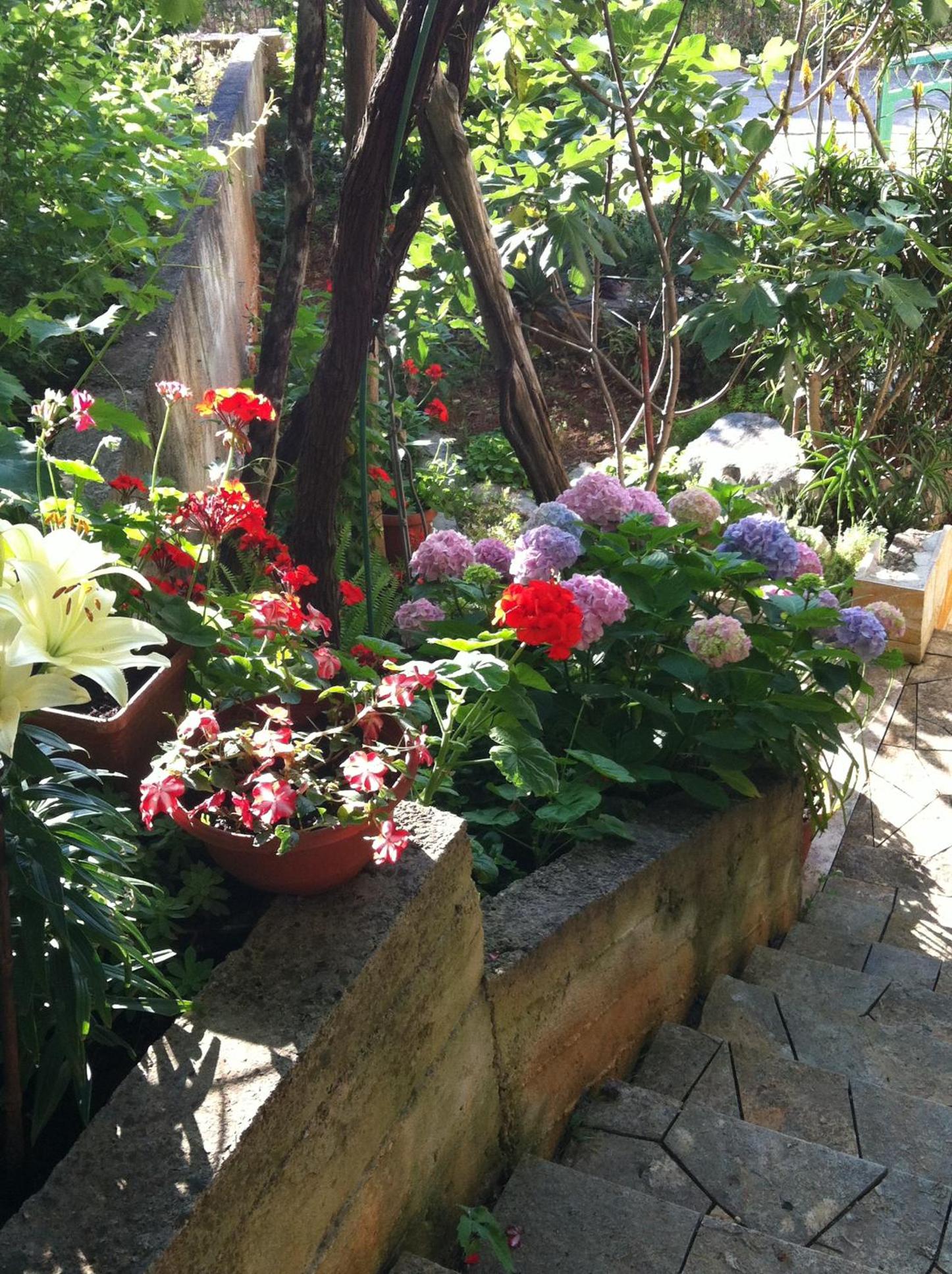 Photo 29